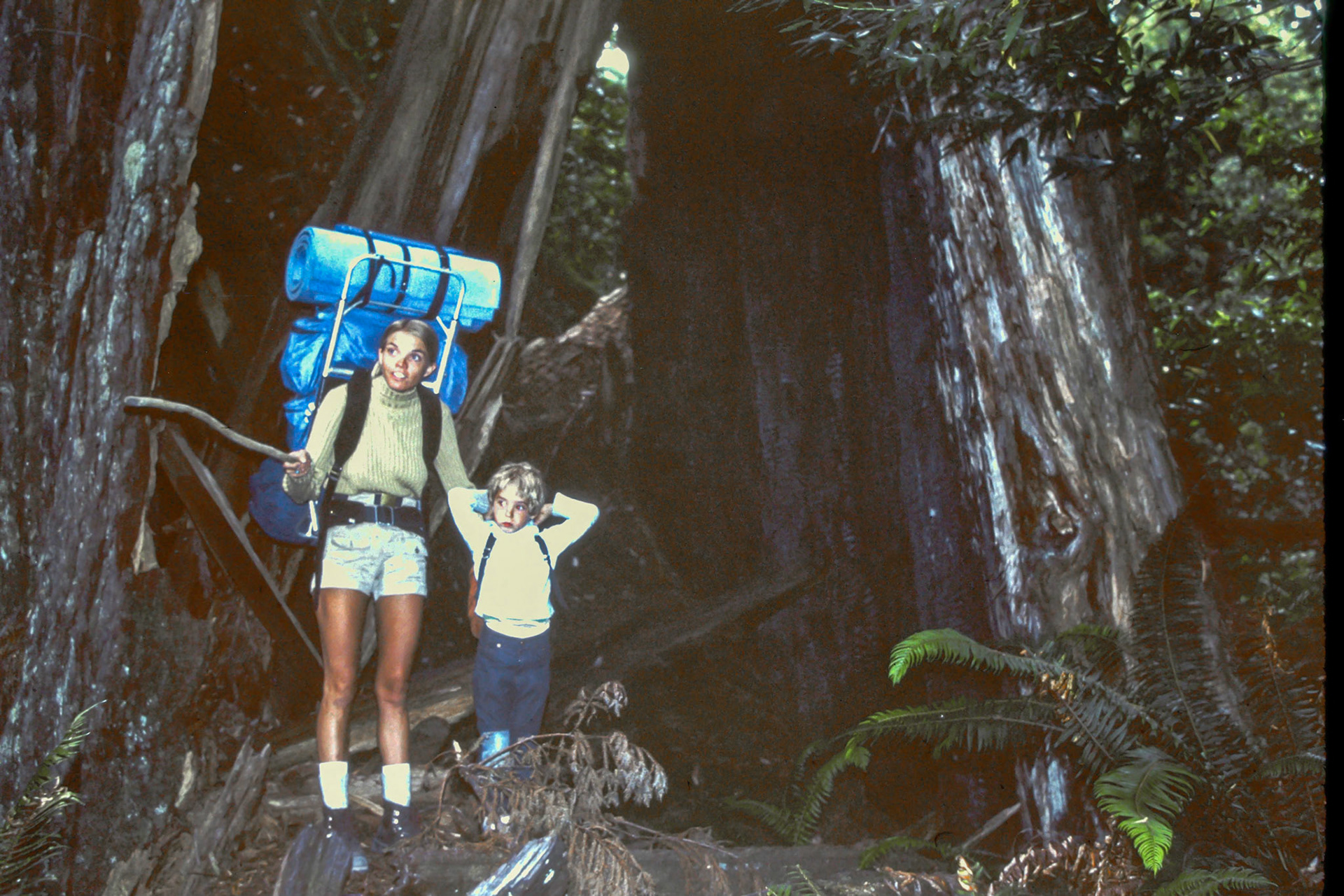 Redwood National Park