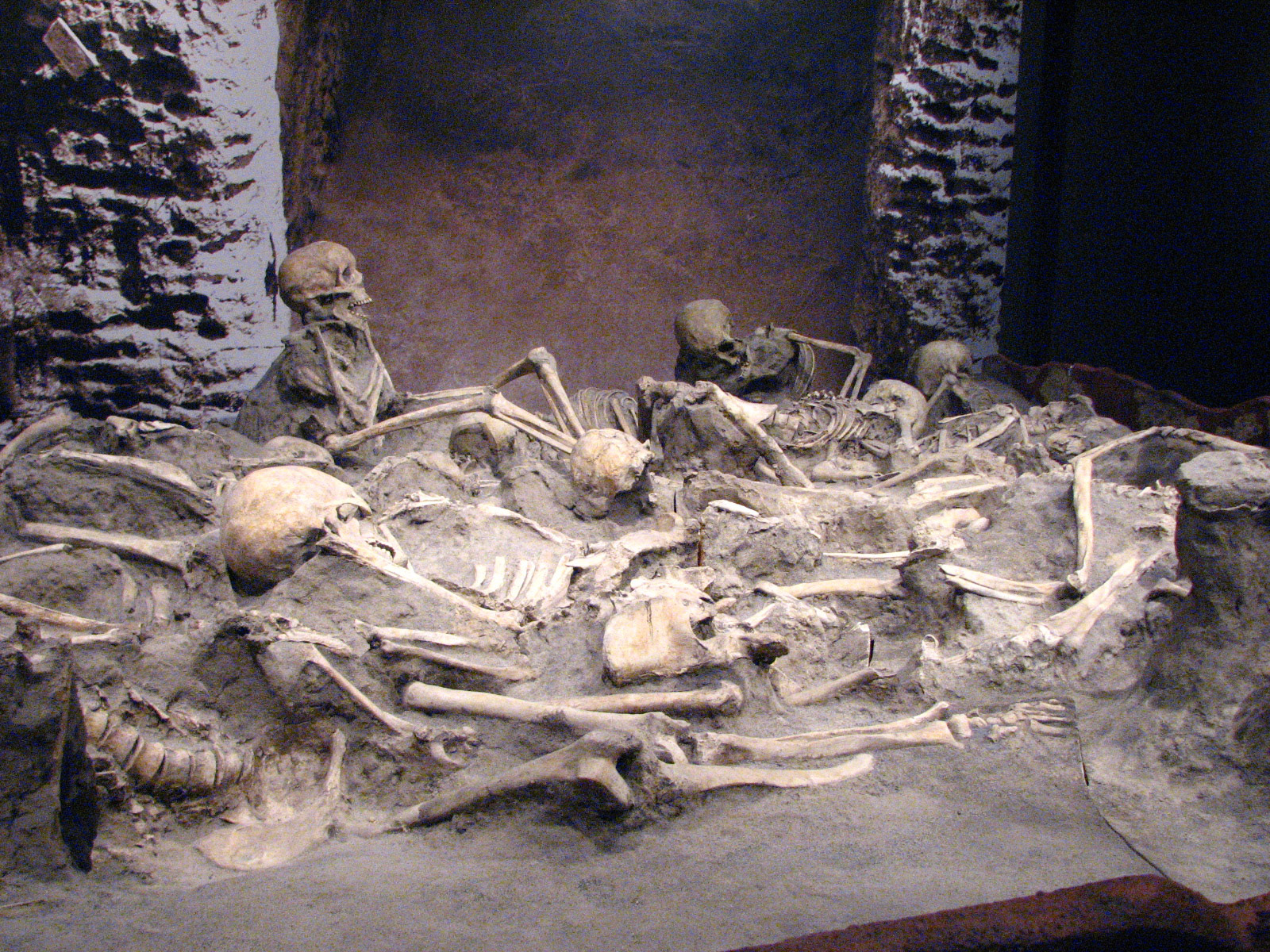 Pompeii Exhibit
