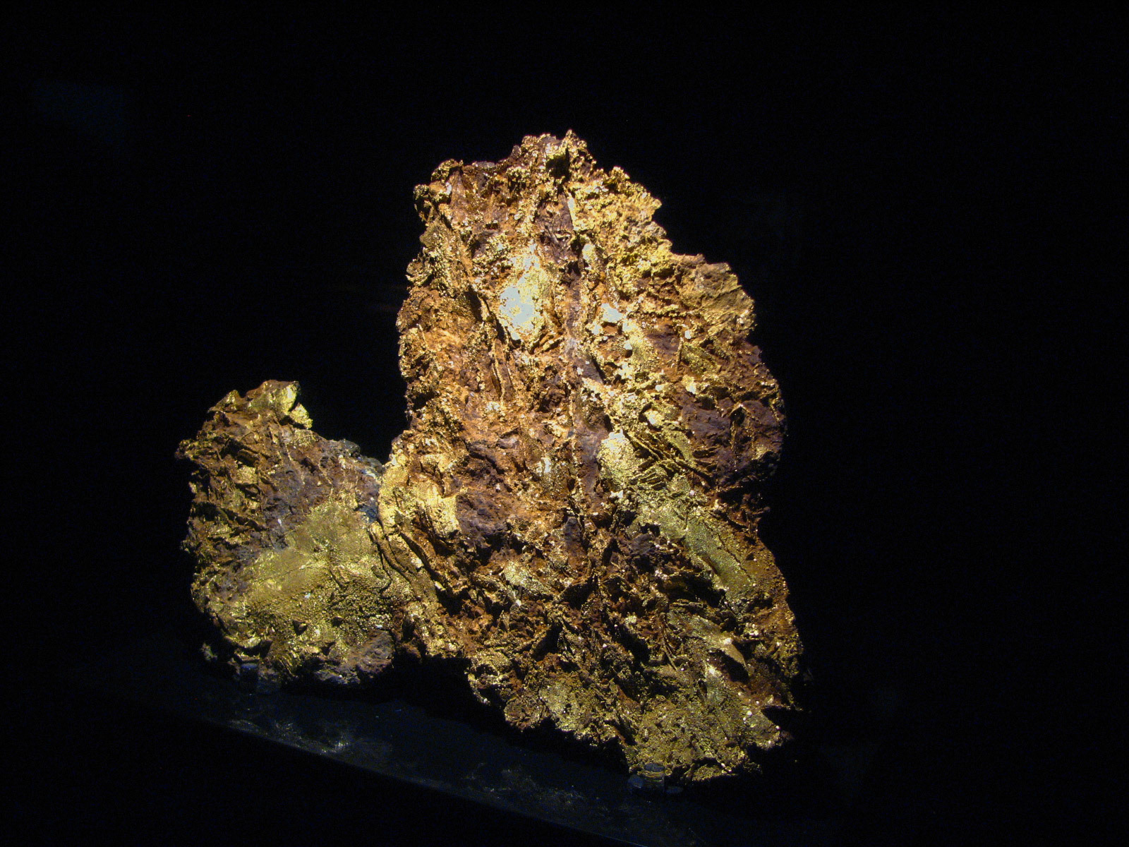 6 kg Gold "Tom's Baby"
