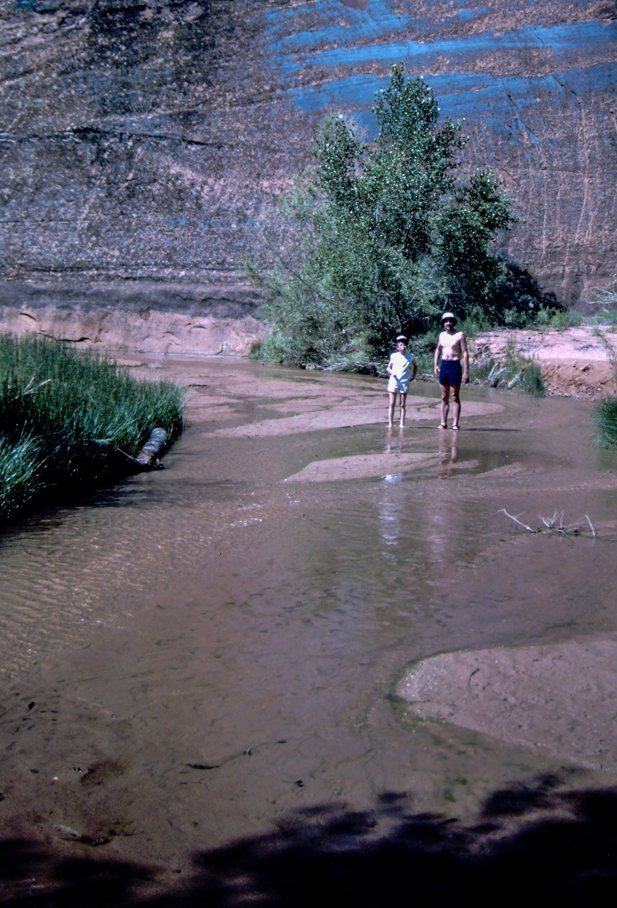 Coyote Gulch