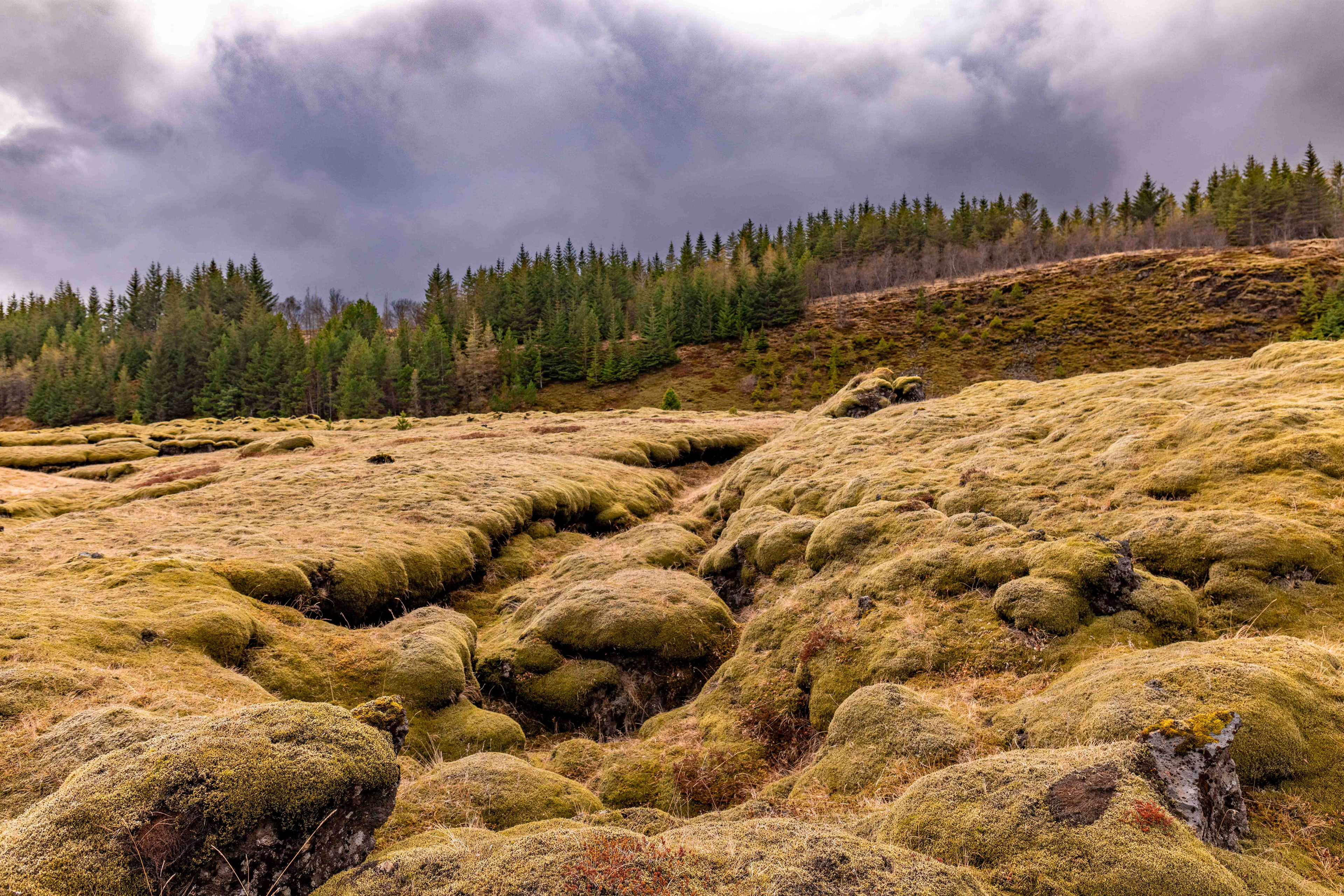 Eldhraun is the largest lava field from a single eruption in recorded history, spanning 565 square kilometers (218 square miles) in southern Iceland.