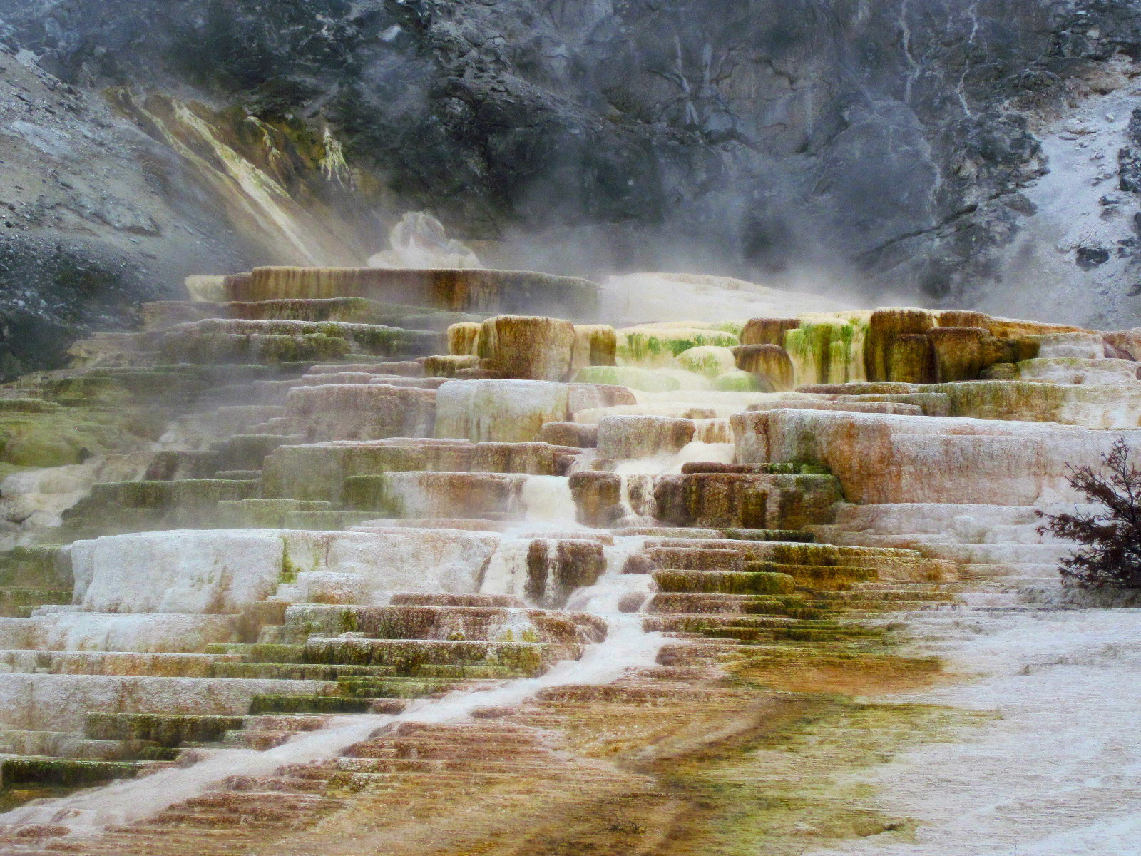 Mammoth Hot Springs