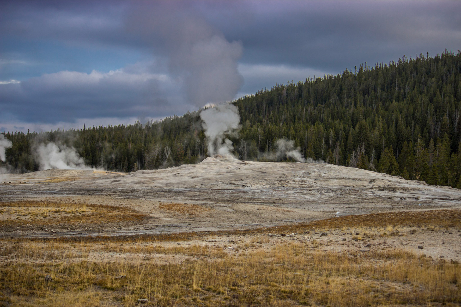 Old Faithful