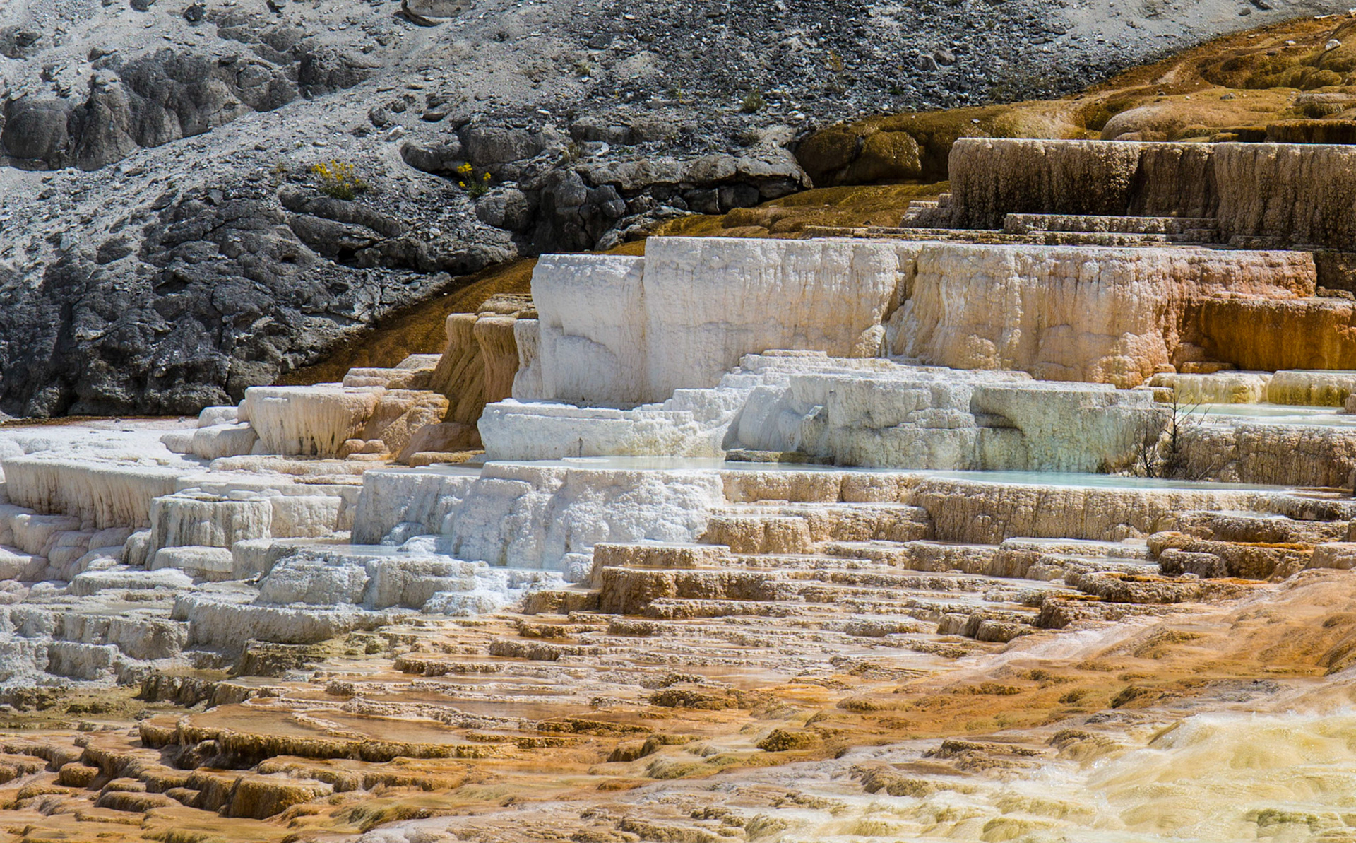 Mammoth Hot Springs