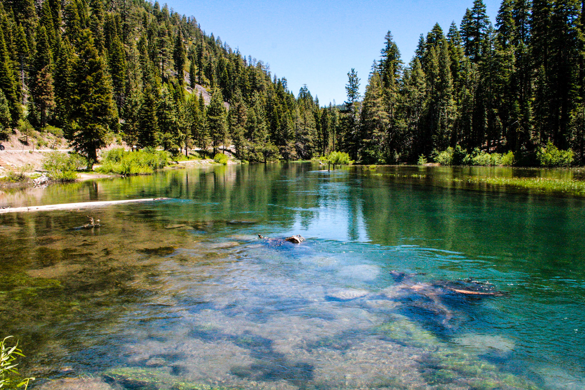 Truckee River - Lake Tahoe, California