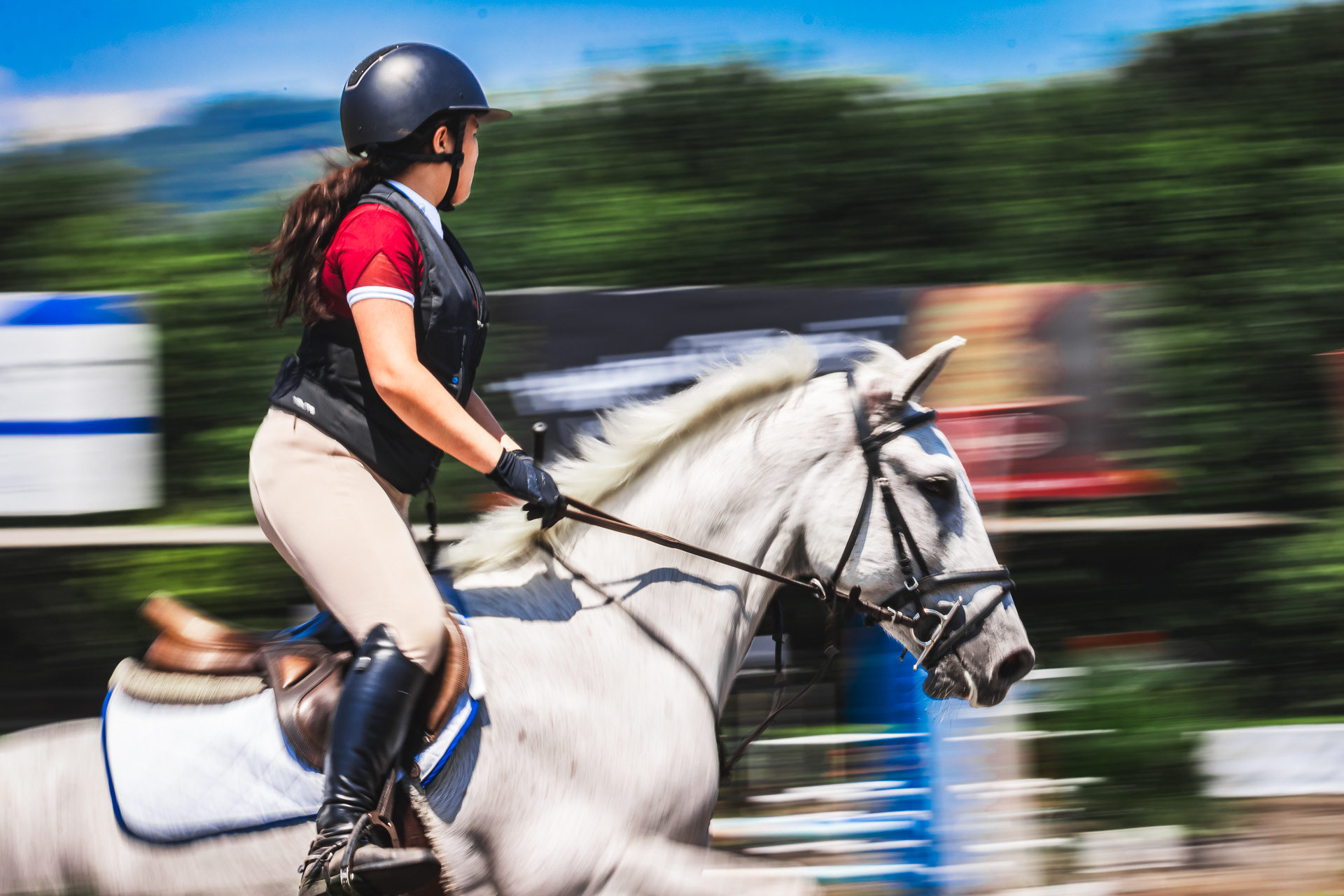 Festival Internacional de Salto @ Complejo Ecuestre San Andrés, 2024