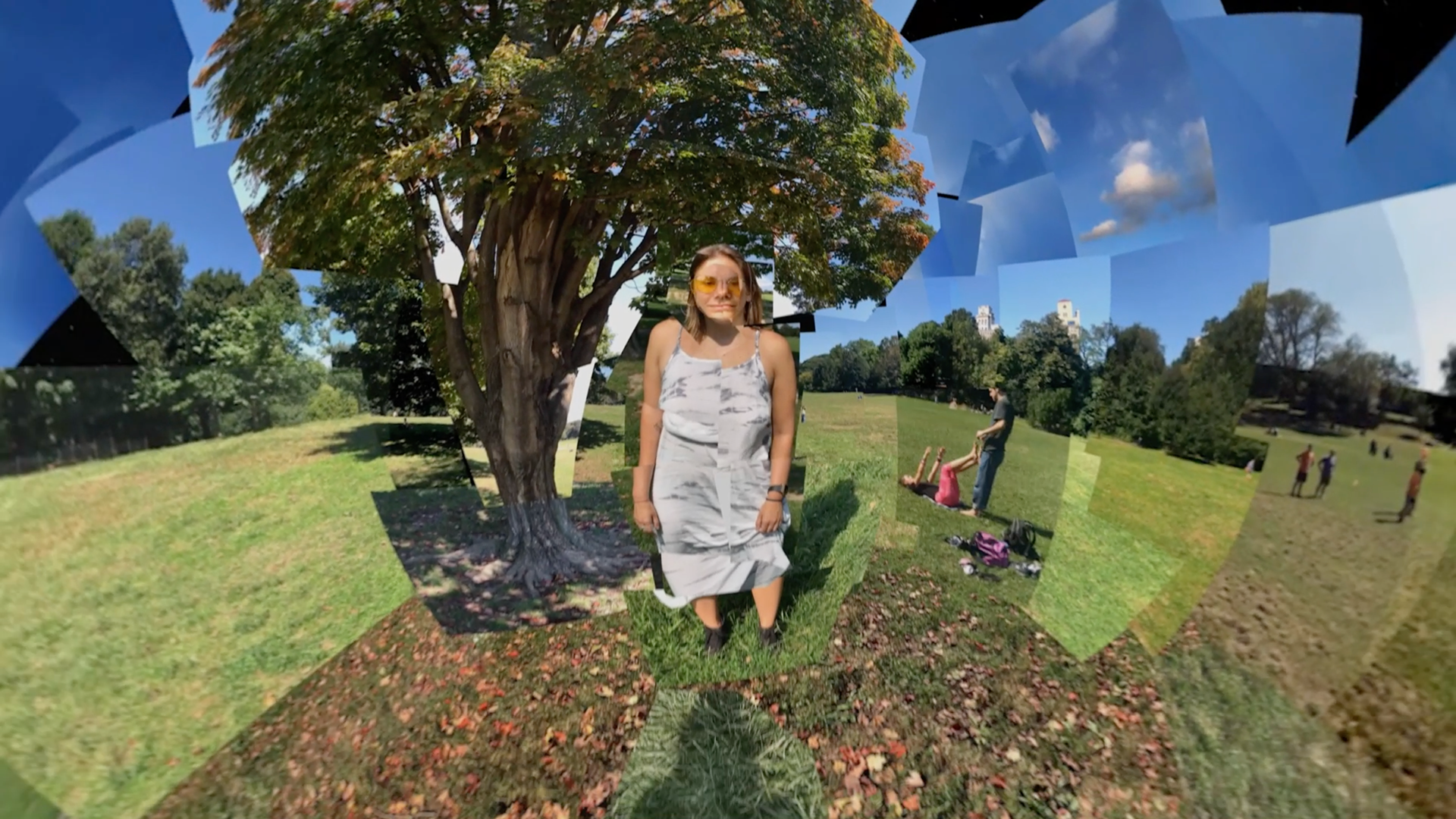 Creative direction and video collage for "Flowers and a Switchblade" (Sundance, 2020)