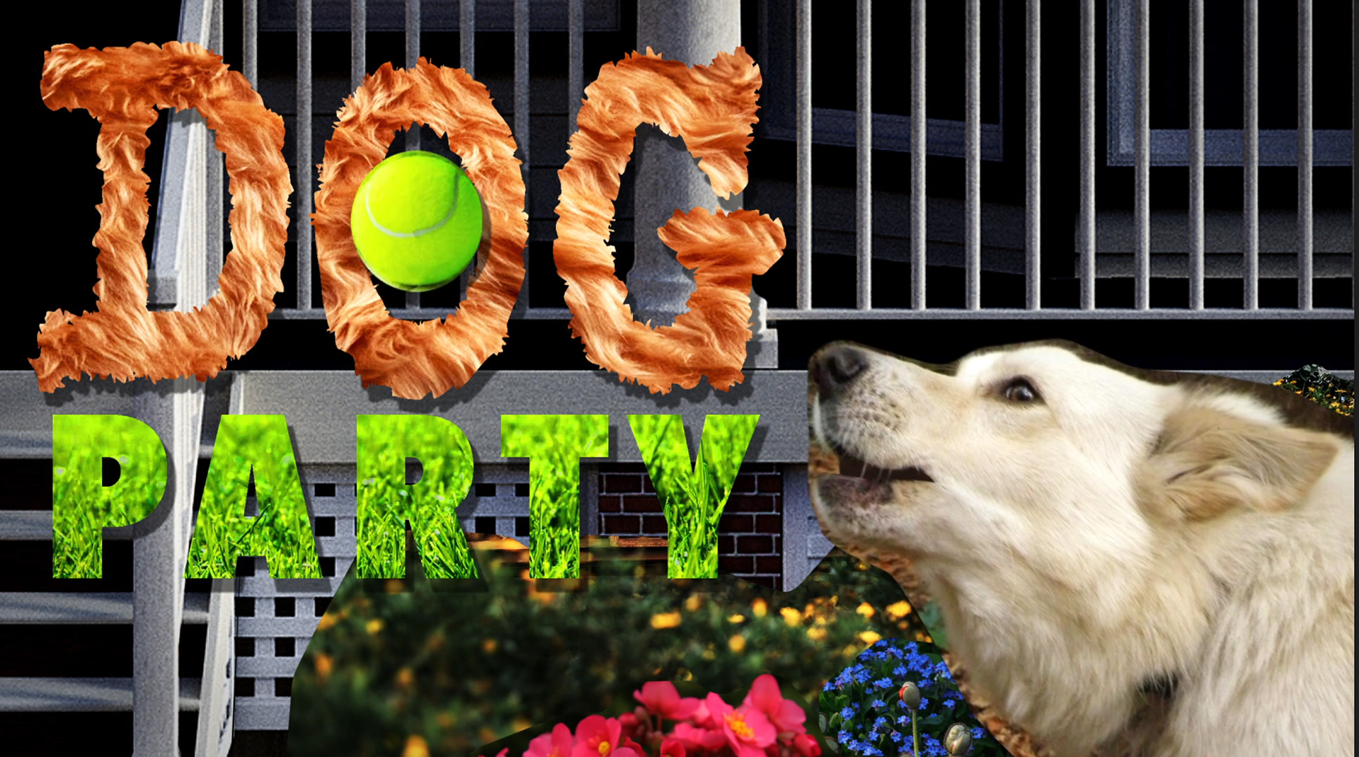 Animated collage titles for "Dog Party"