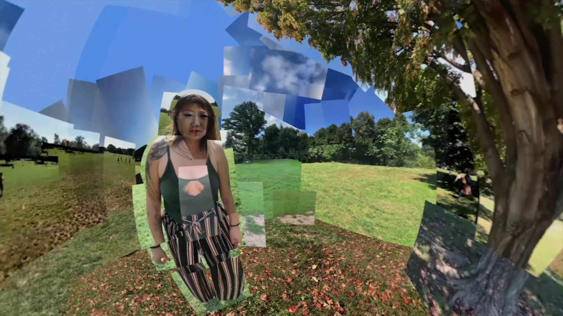 Creative direction and video collage for "Flowers and a Switchblade" (Sundance, 2020)
