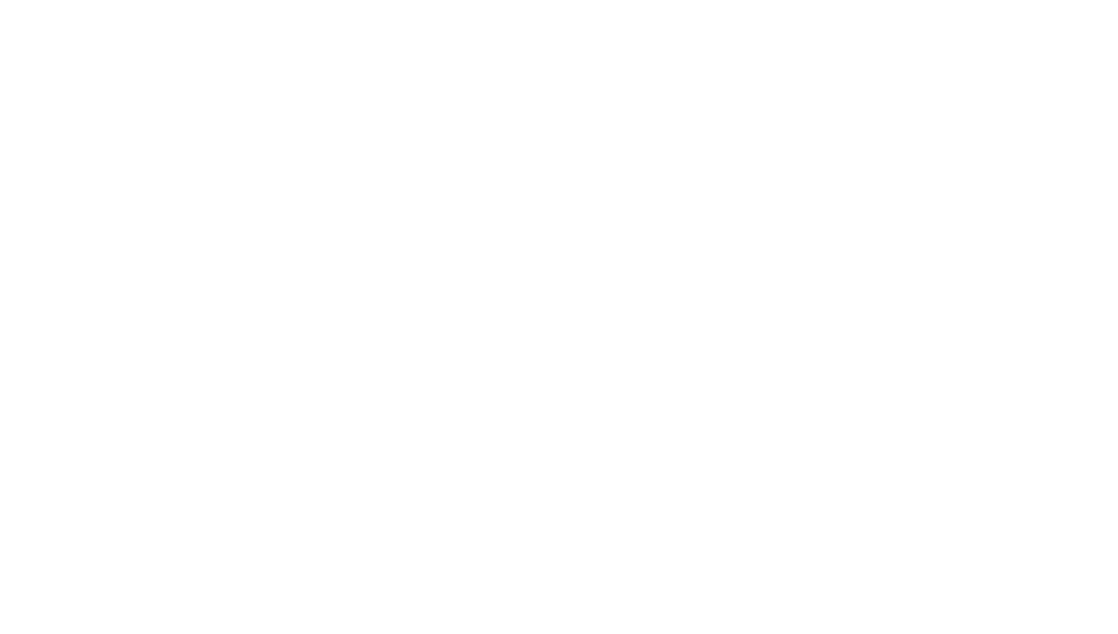 Nic Koller, NYC animator 