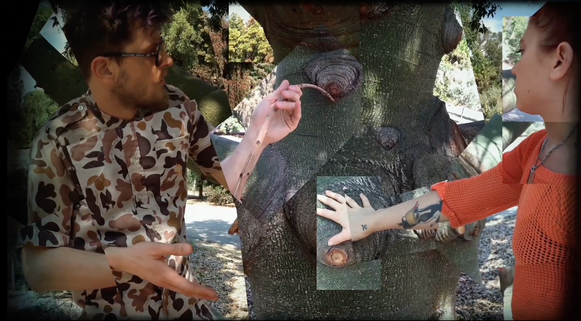 Video collage for "After the Garden" (2017)