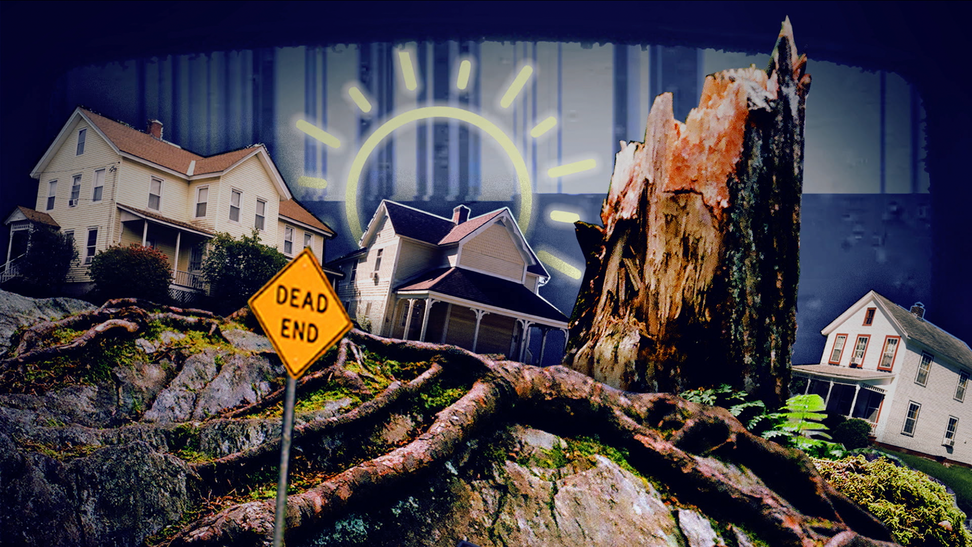 Animated collage visuals for "Why Not Forever"