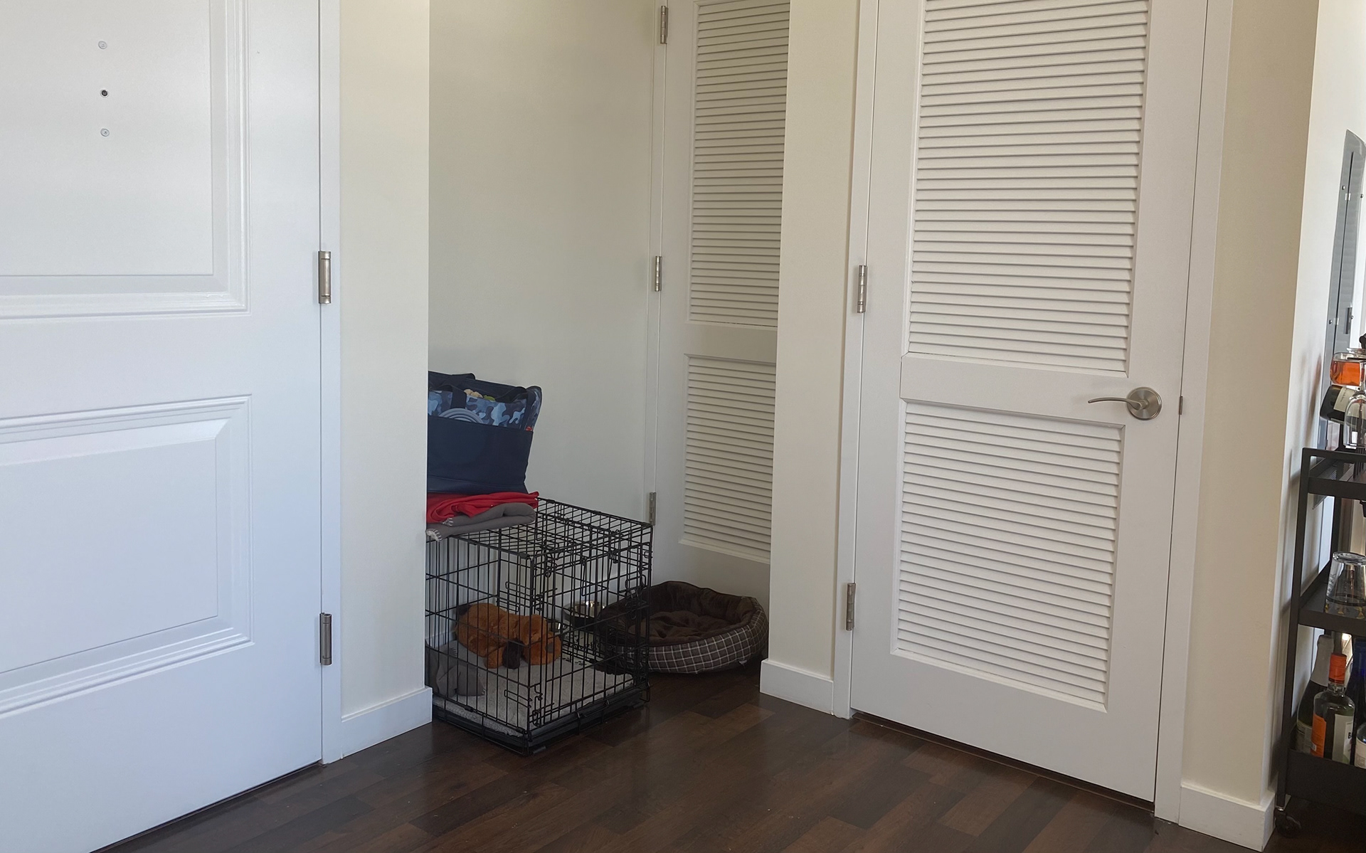 Pet Space (Crate, Bed, Food/Water Bowls)