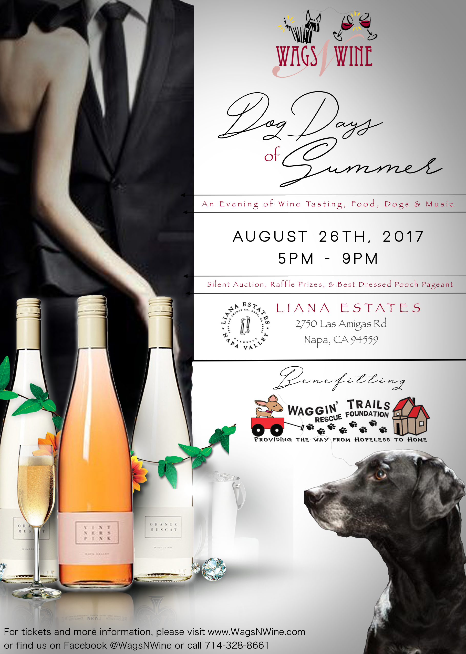 Wags & Wine - Dog Days of Summer Event