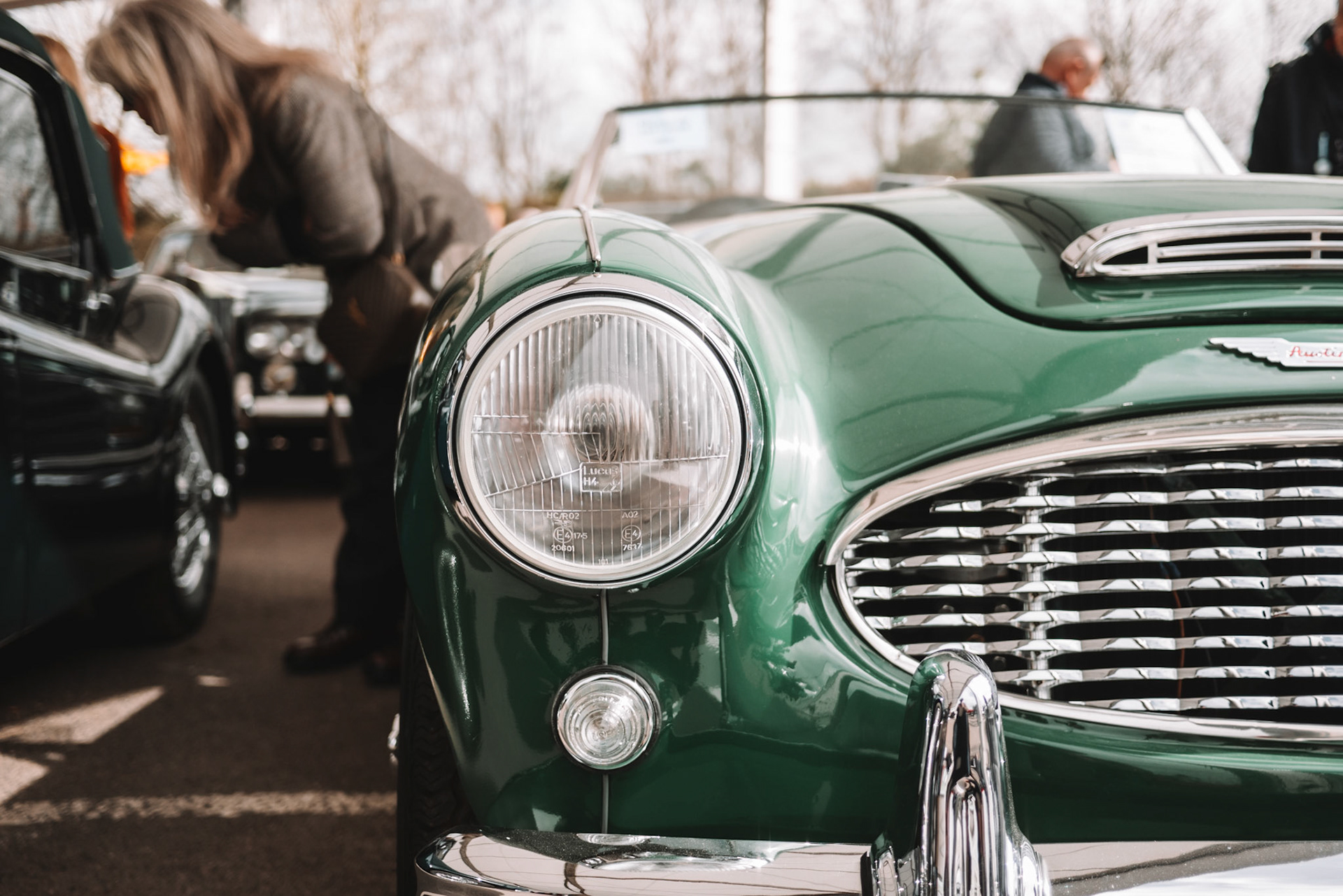 81st Goodwood Members Meeting