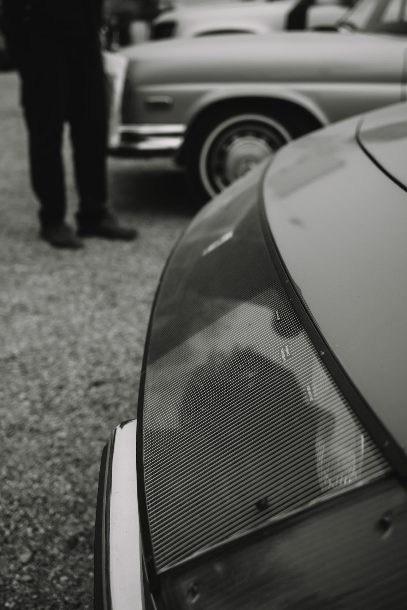 81st Goodwood Members Meeting