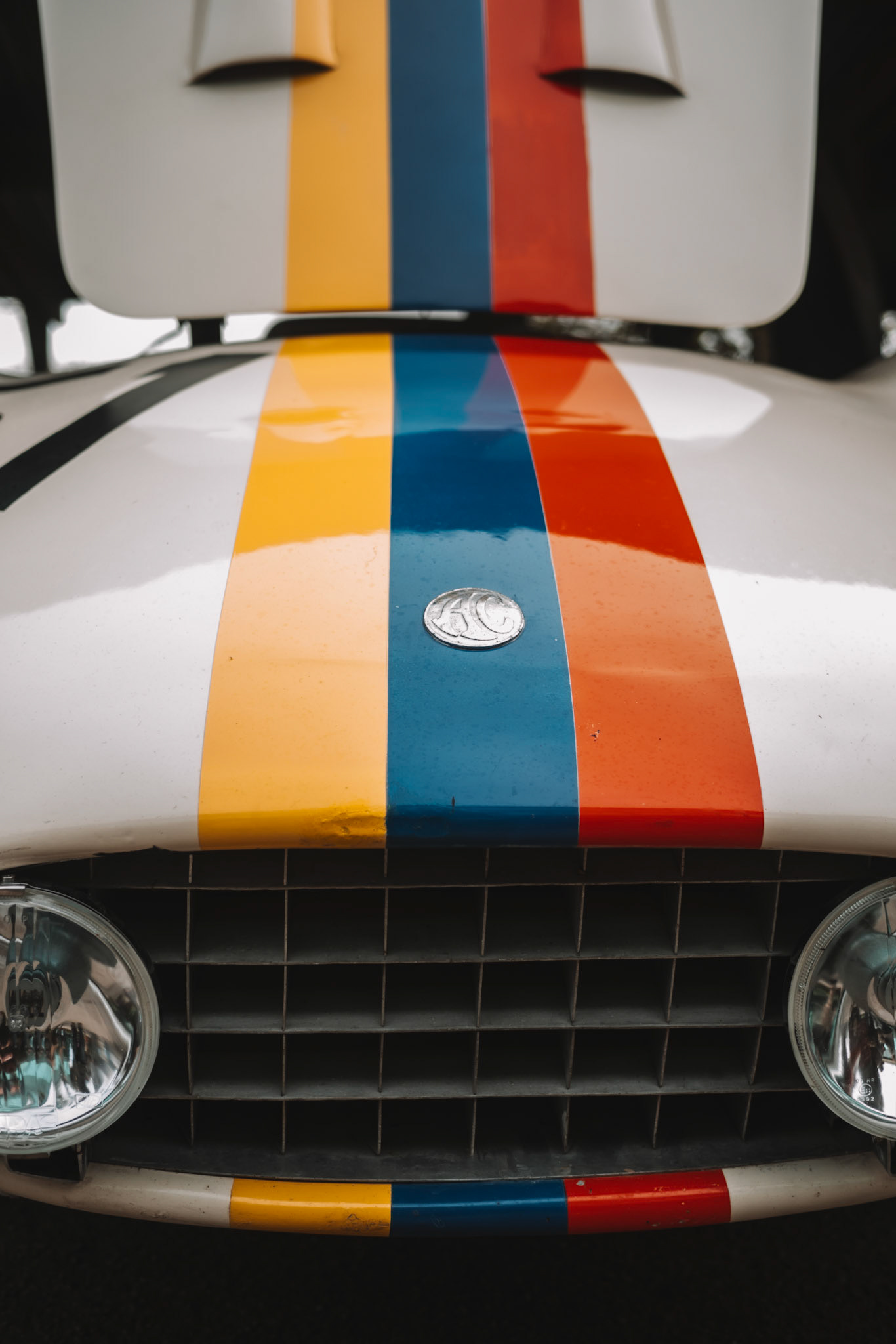 81st Goodwood Members Meeting