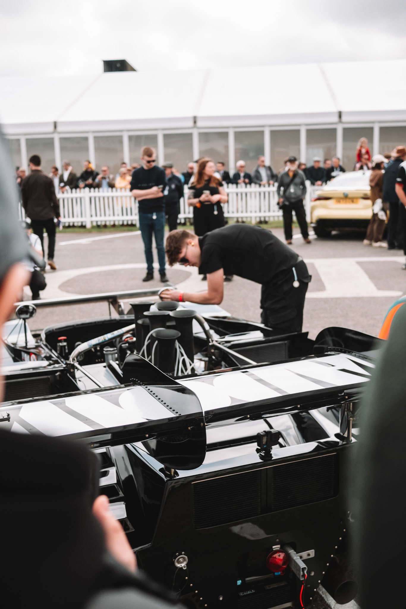 81st Goodwood Members Meeting