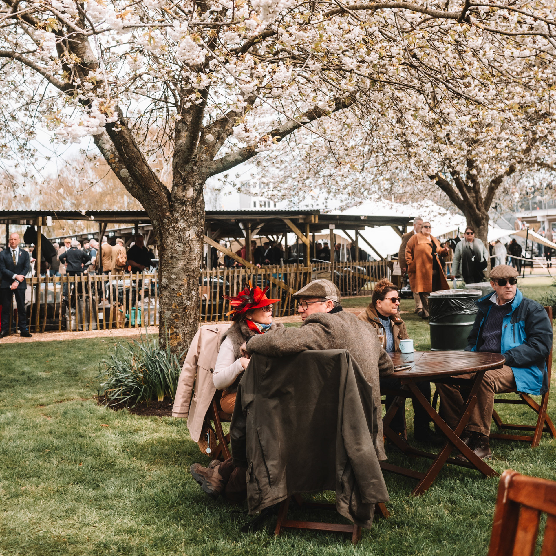 81st Goodwood Members Meeting