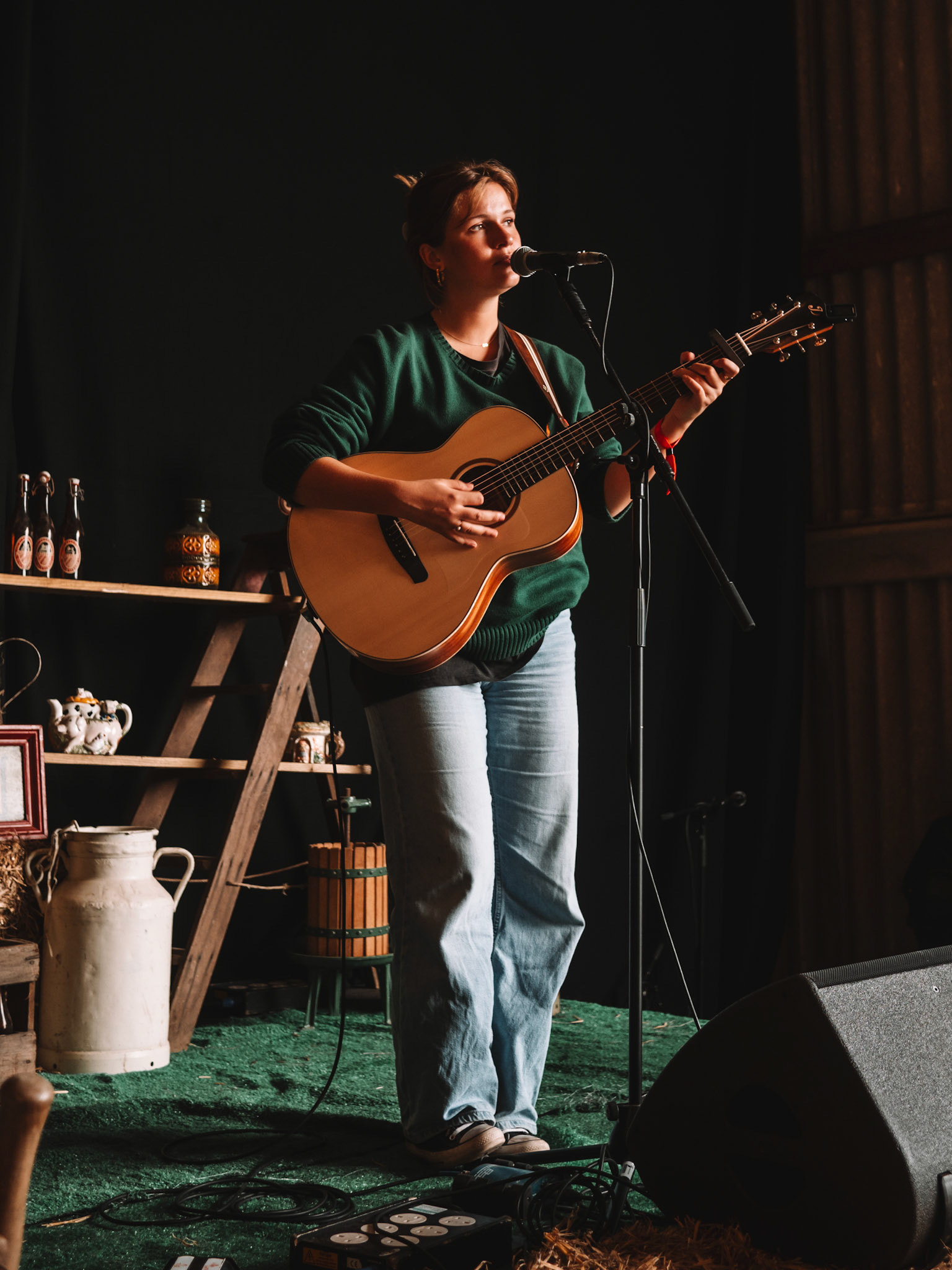 81st Goodwood Members Meeting