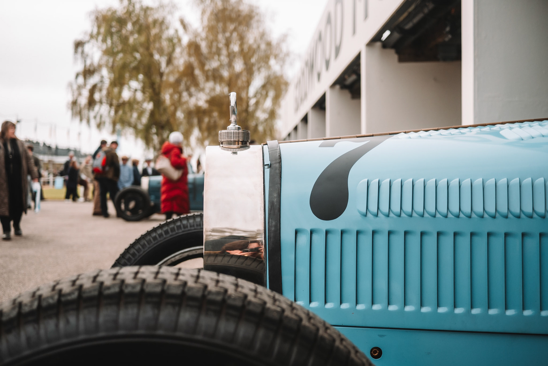 81st Goodwood Members Meeting