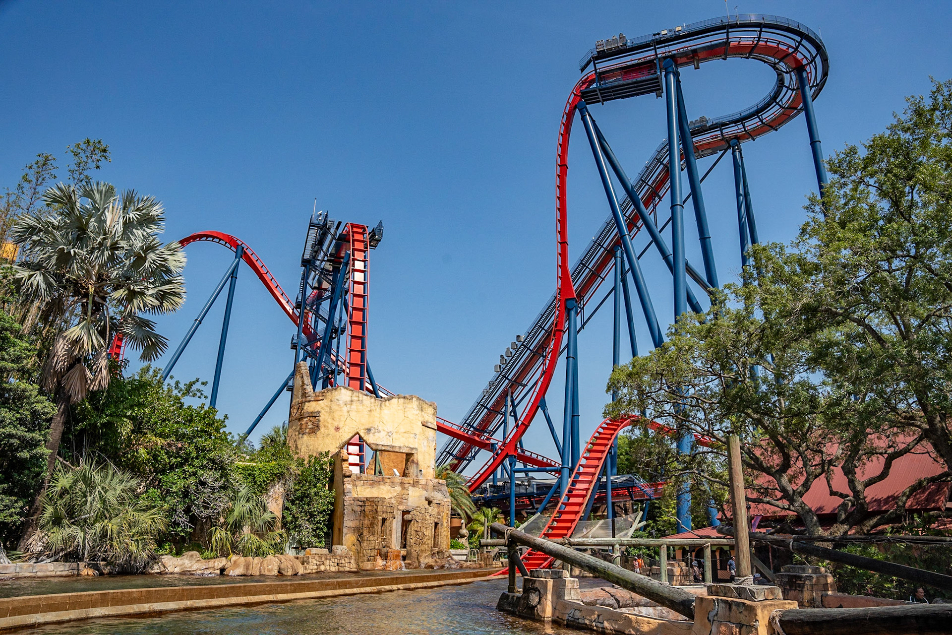 Photo by Jon Roost (www.jonroostphotos.com)