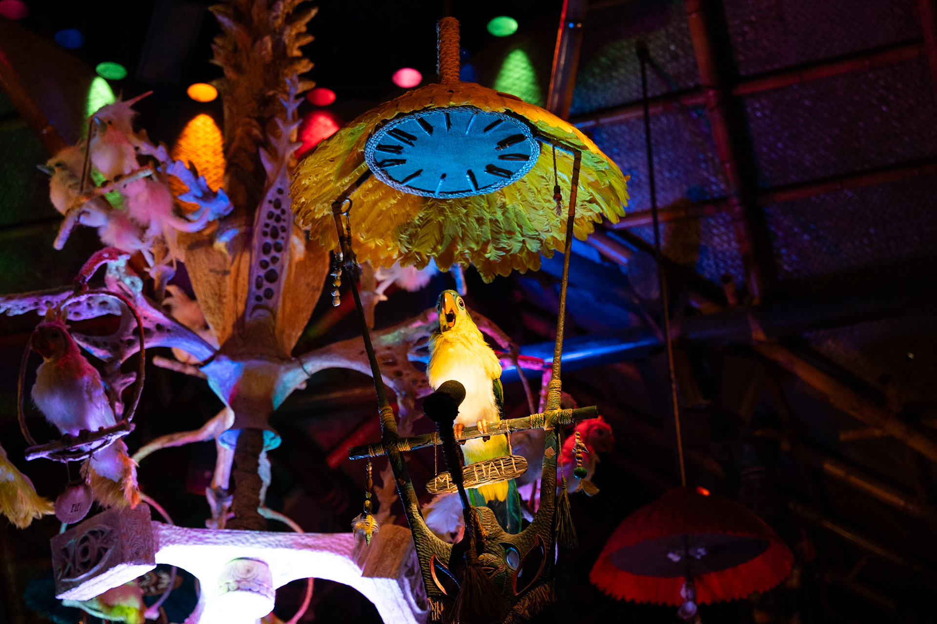 Photo by Jon Roost (www.jonroostphotos.com)