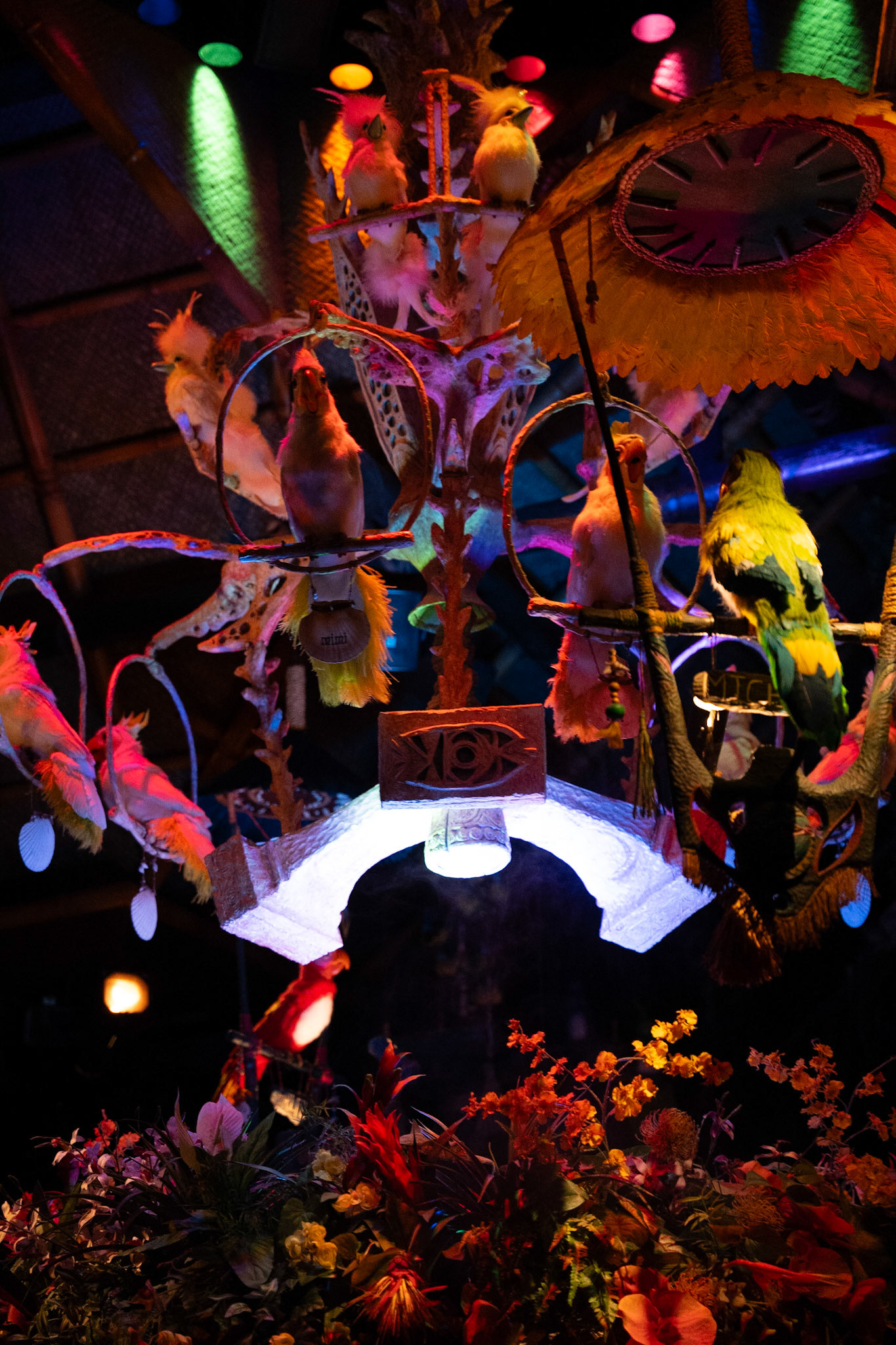 Photo by Jon Roost (www.jonroostphotos.com)