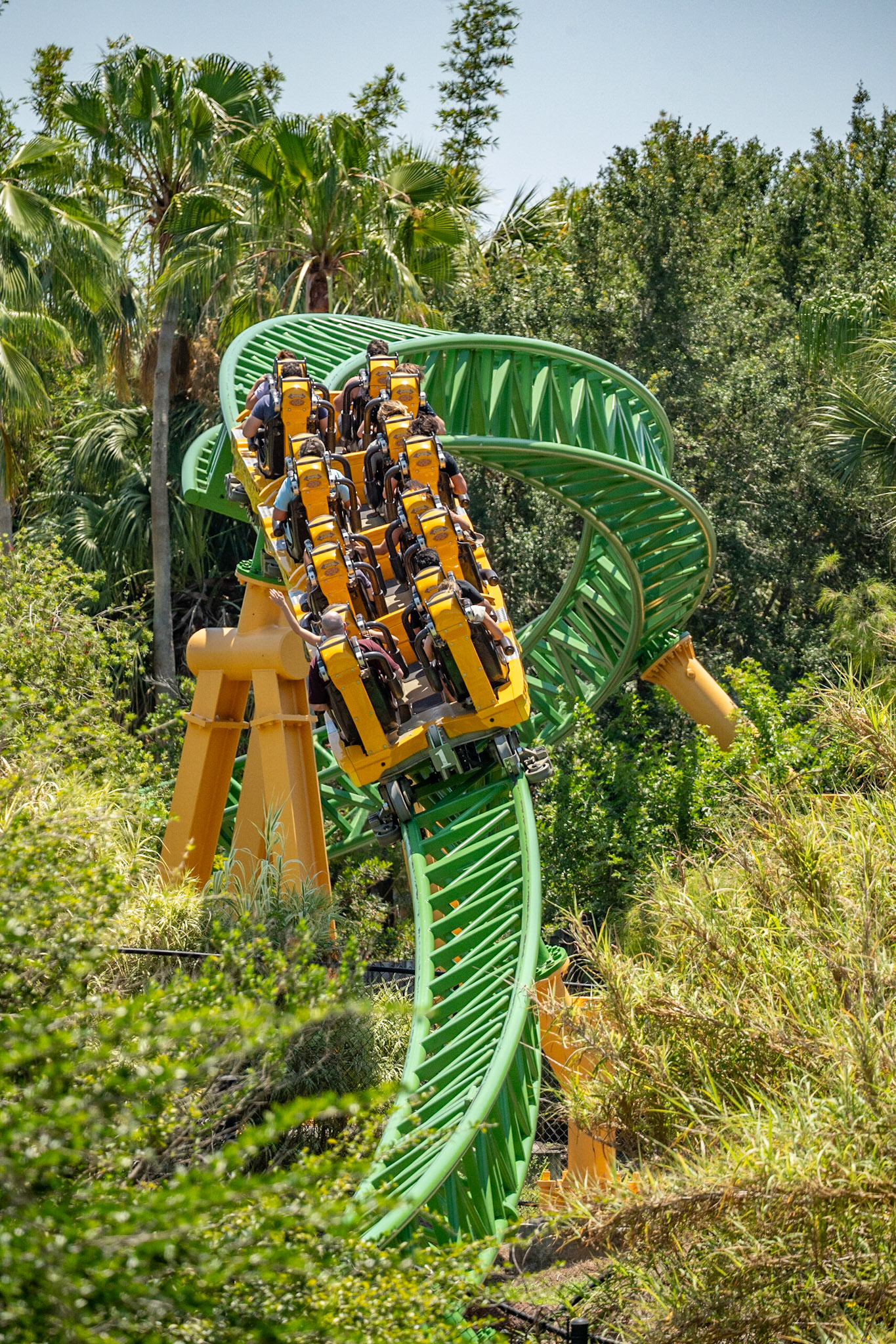 Photo by Jon Roost (www.jonroostphotos.com)