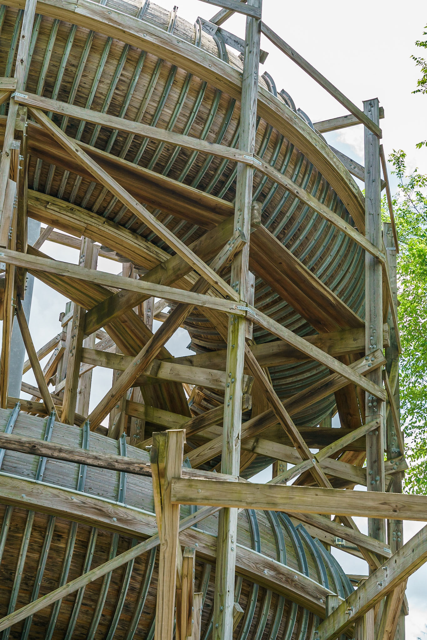 Photo by Jon Roost (www.jonroostphotos.com)