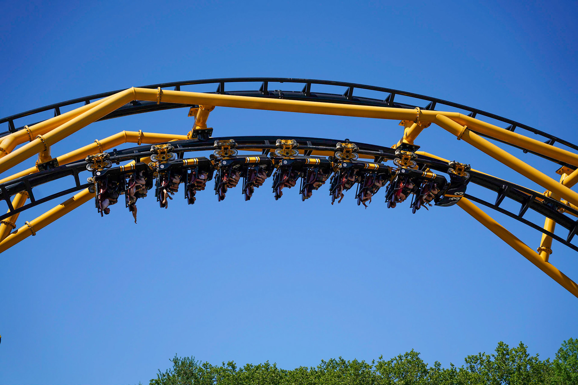 Photo by Jon Roost (www.jonroostphotos.com)