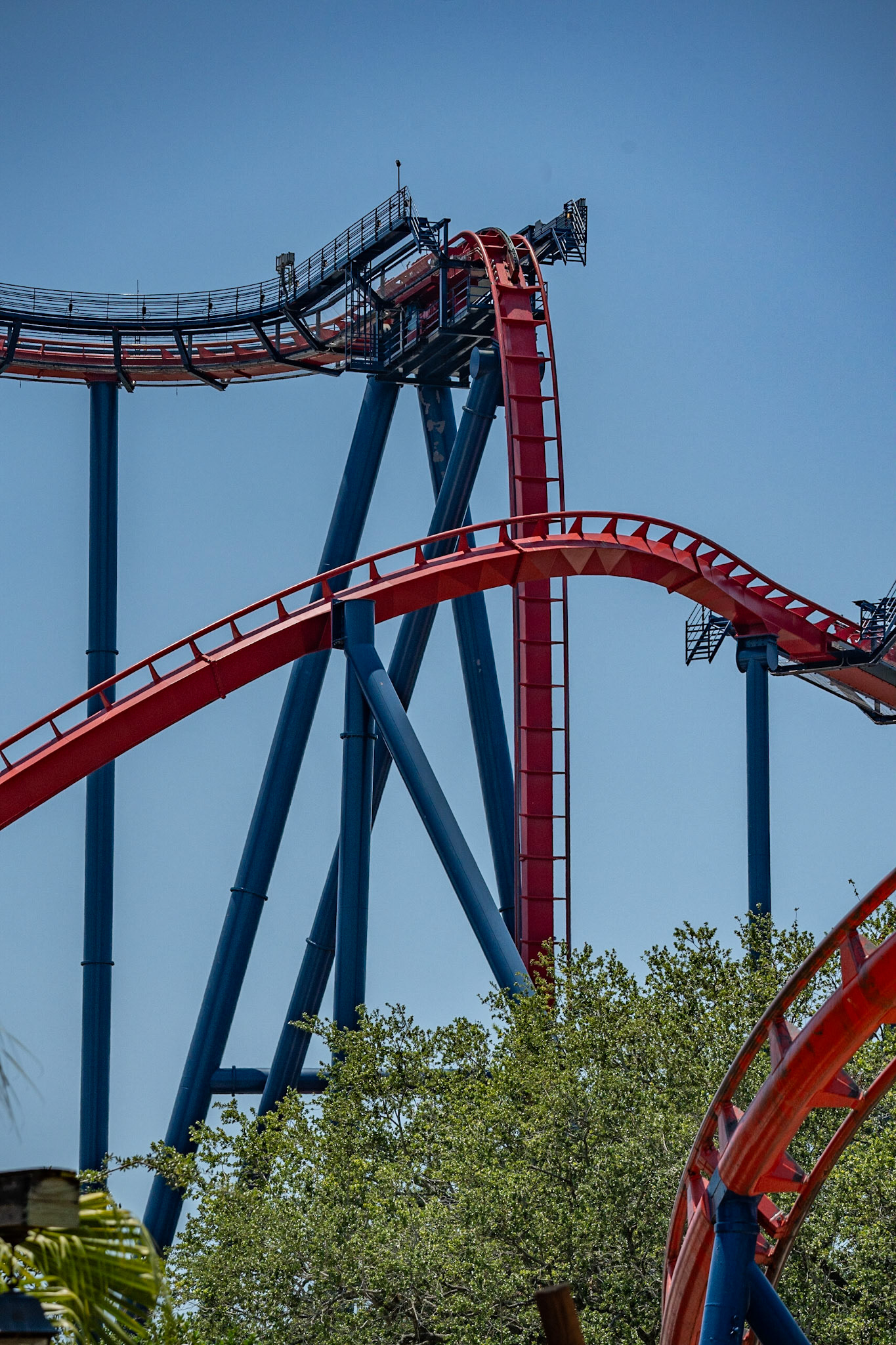 Photo by Jon Roost (www.jonroostphotos.com)