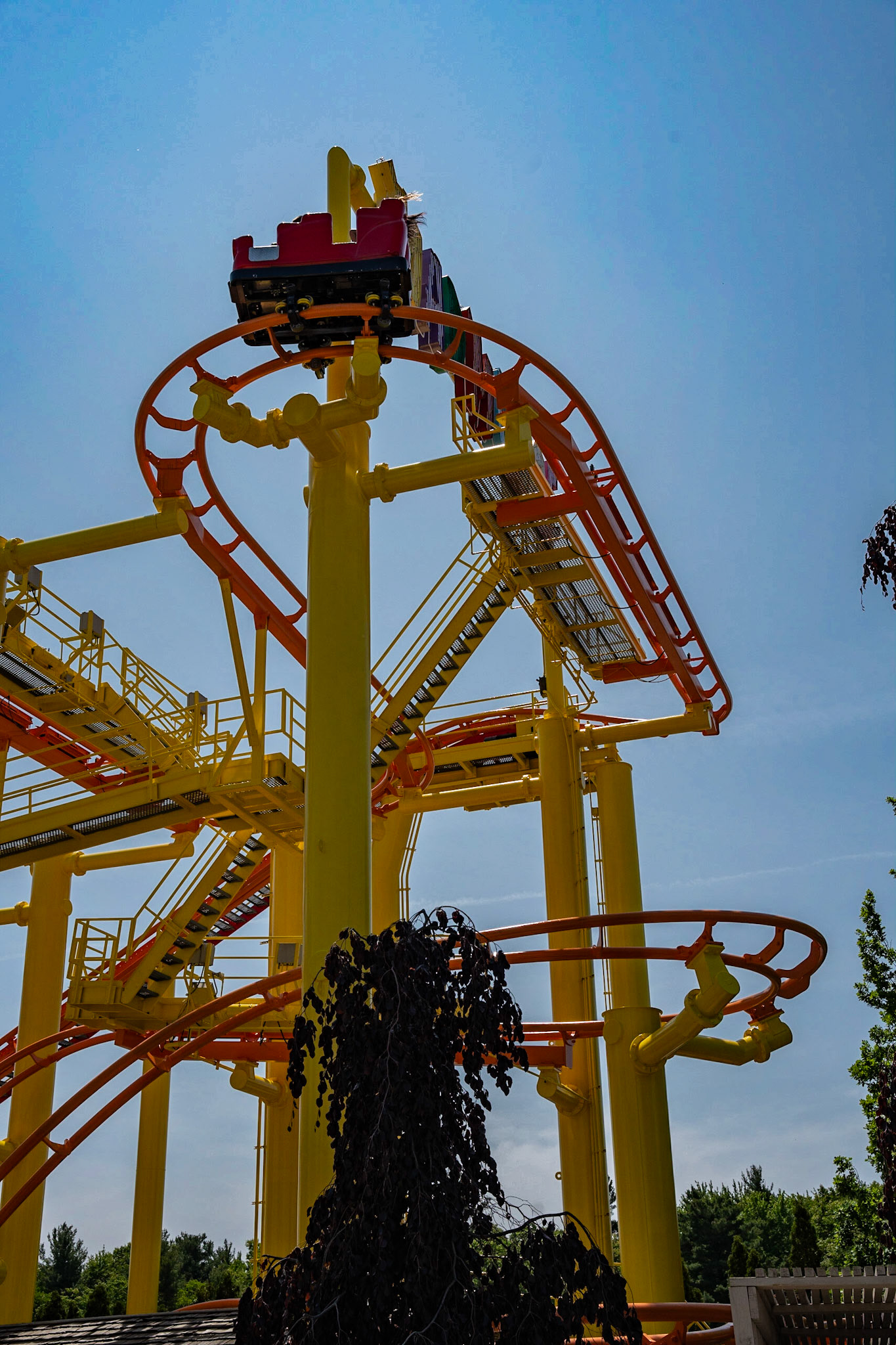 Photo by Jon Roost (www.jonroostphotos.com)