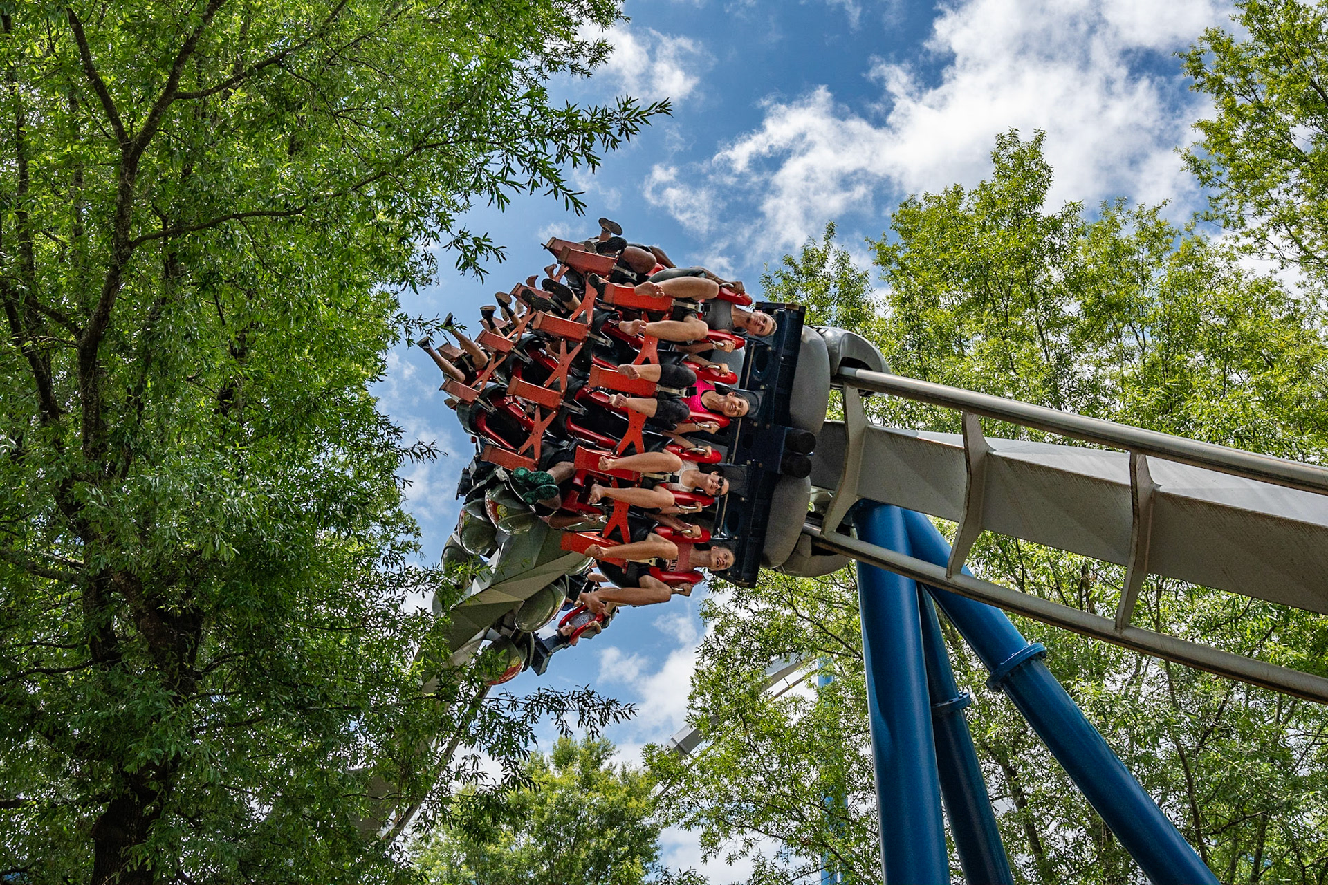 Photo by Jon Roost (www.jonroostphotos.com)