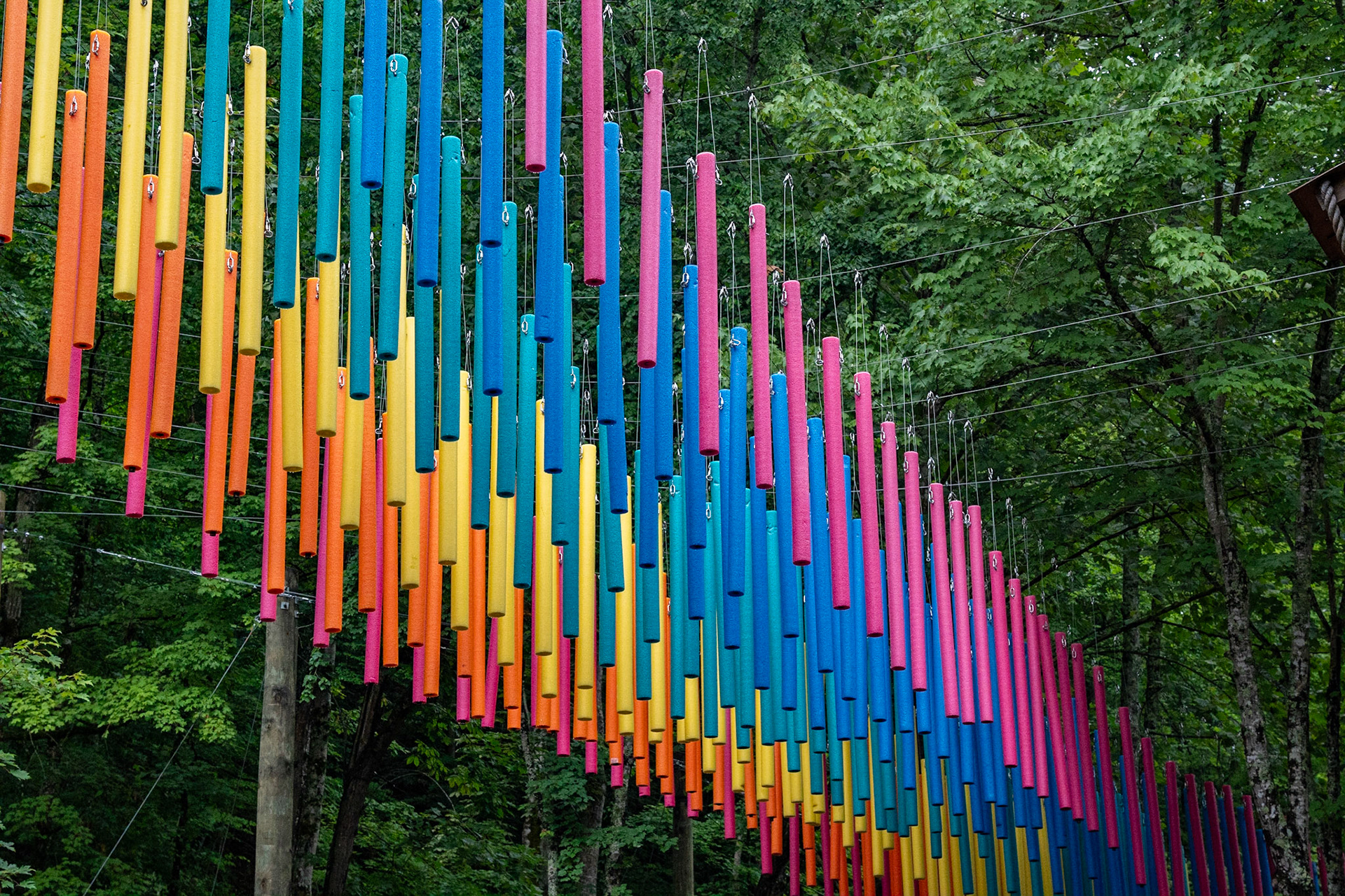 Photo by Jon Roost (www.jonroostphotos.com)