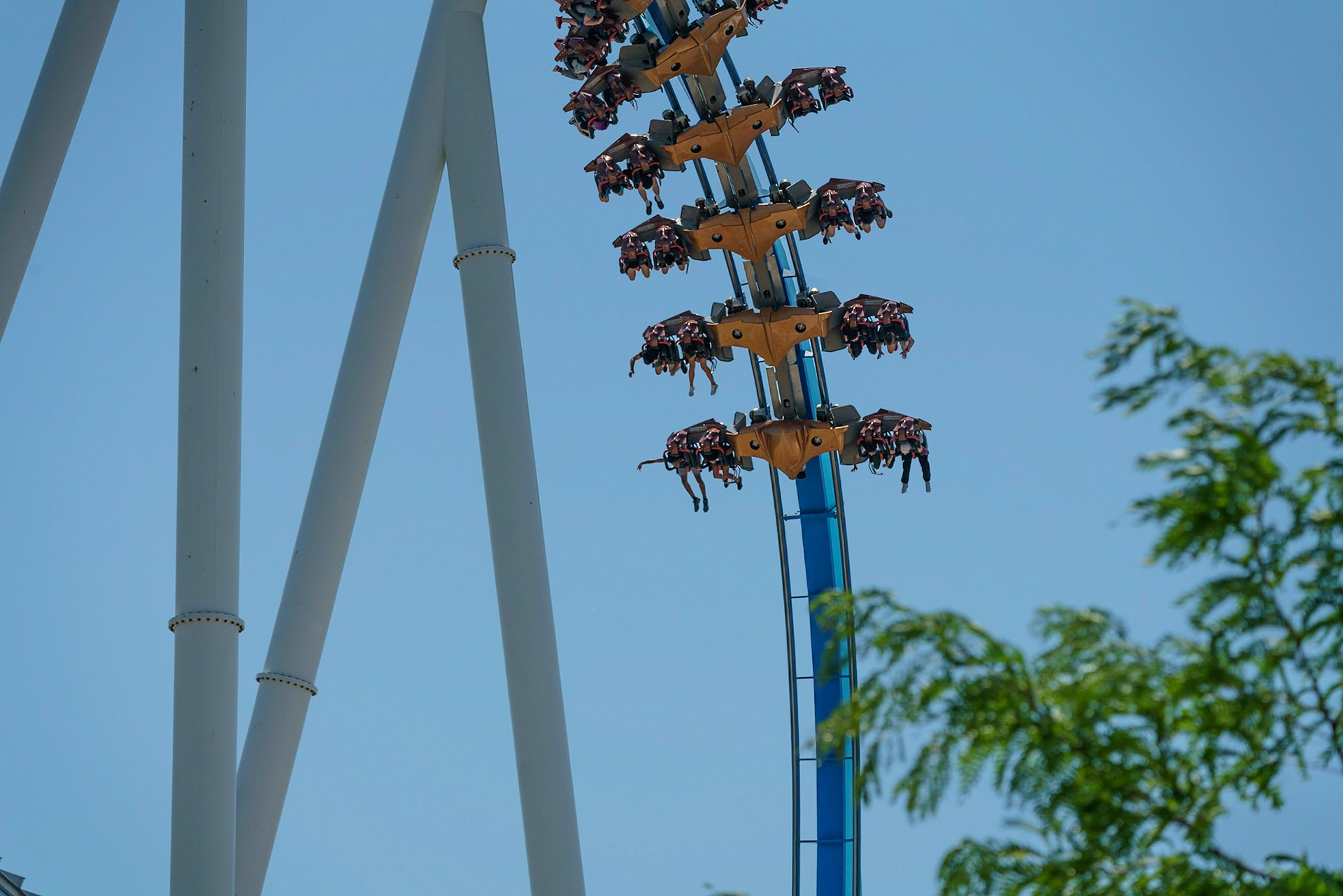 Photo by Jon Roost (www.jonroostphotos.com)