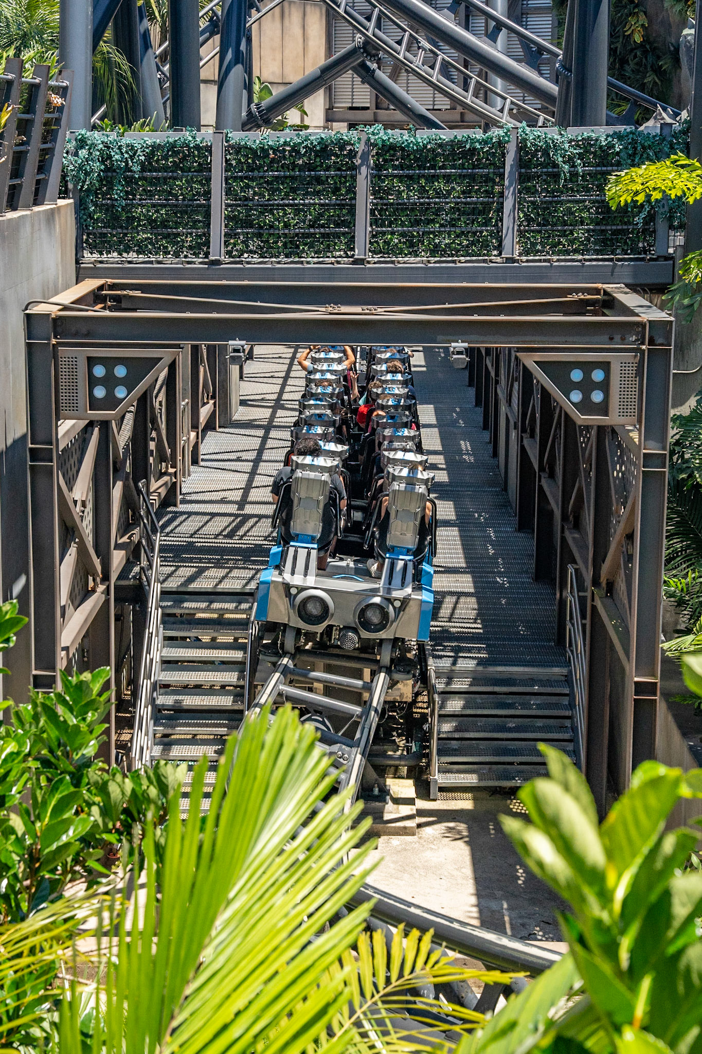 Photo by Jon Roost (www.jonroostphotos.com)