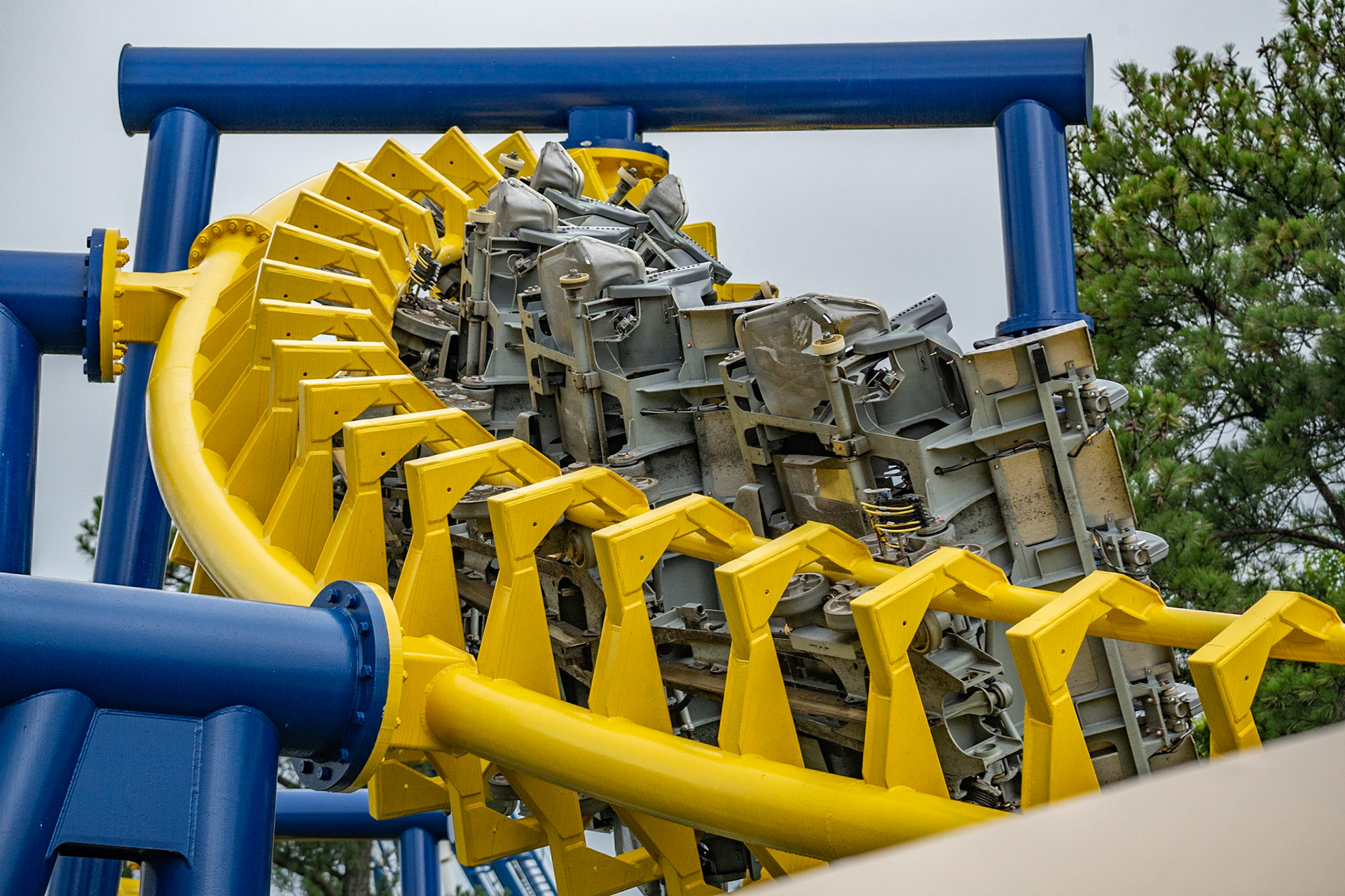 Photo by Jon Roost (www.jonroostphotos.com)