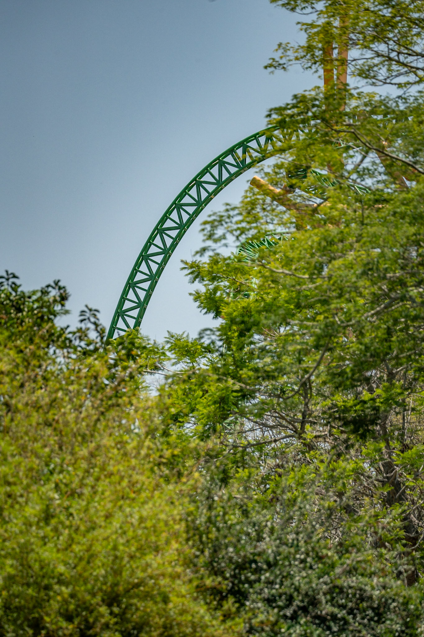 Photo by Jon Roost (www.jonroostphotos.com)