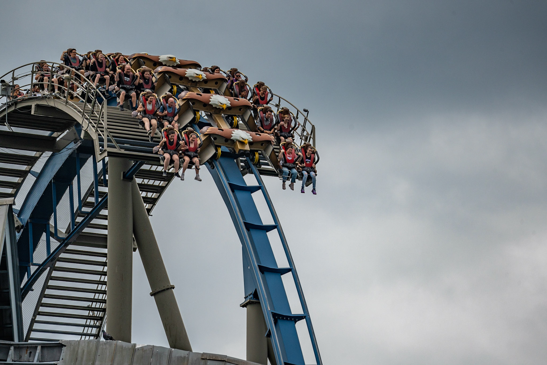 Photo by Jon Roost (www.jonroostphotos.com)