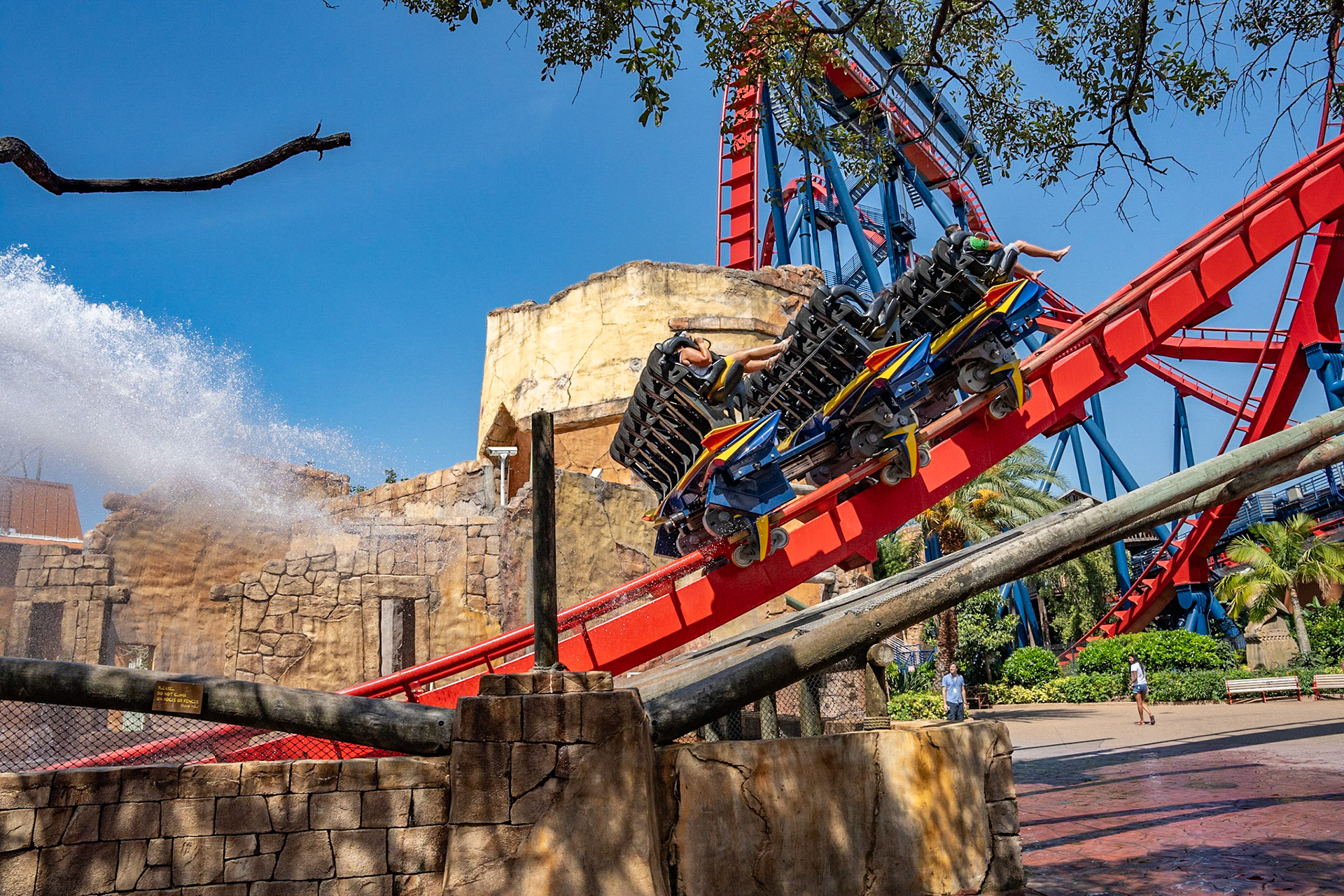 Photo by Jon Roost (www.jonroostphotos.com)