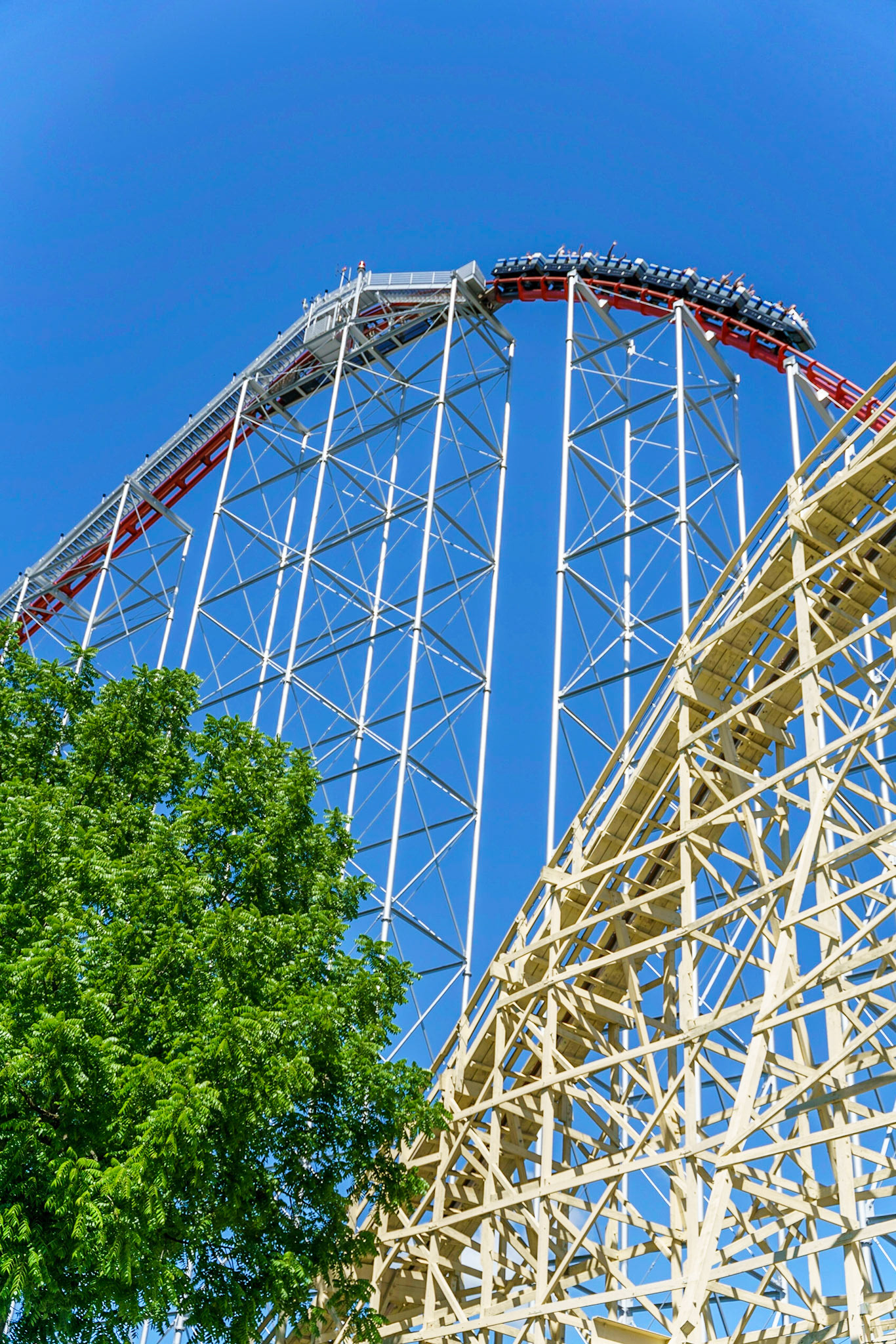 Photo by Jon Roost (www.jonroostphotos.com)