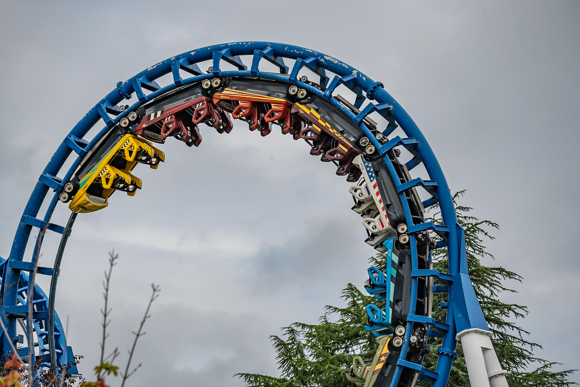 Photo by Jon Roost (www.jonroostphotos.com)