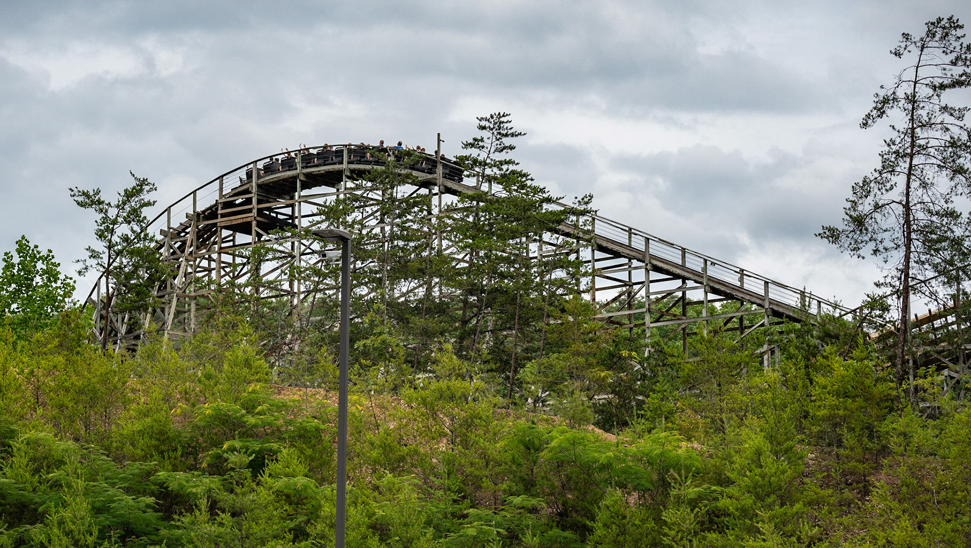 Photo by Jon Roost (www.jonroostphotos.com)