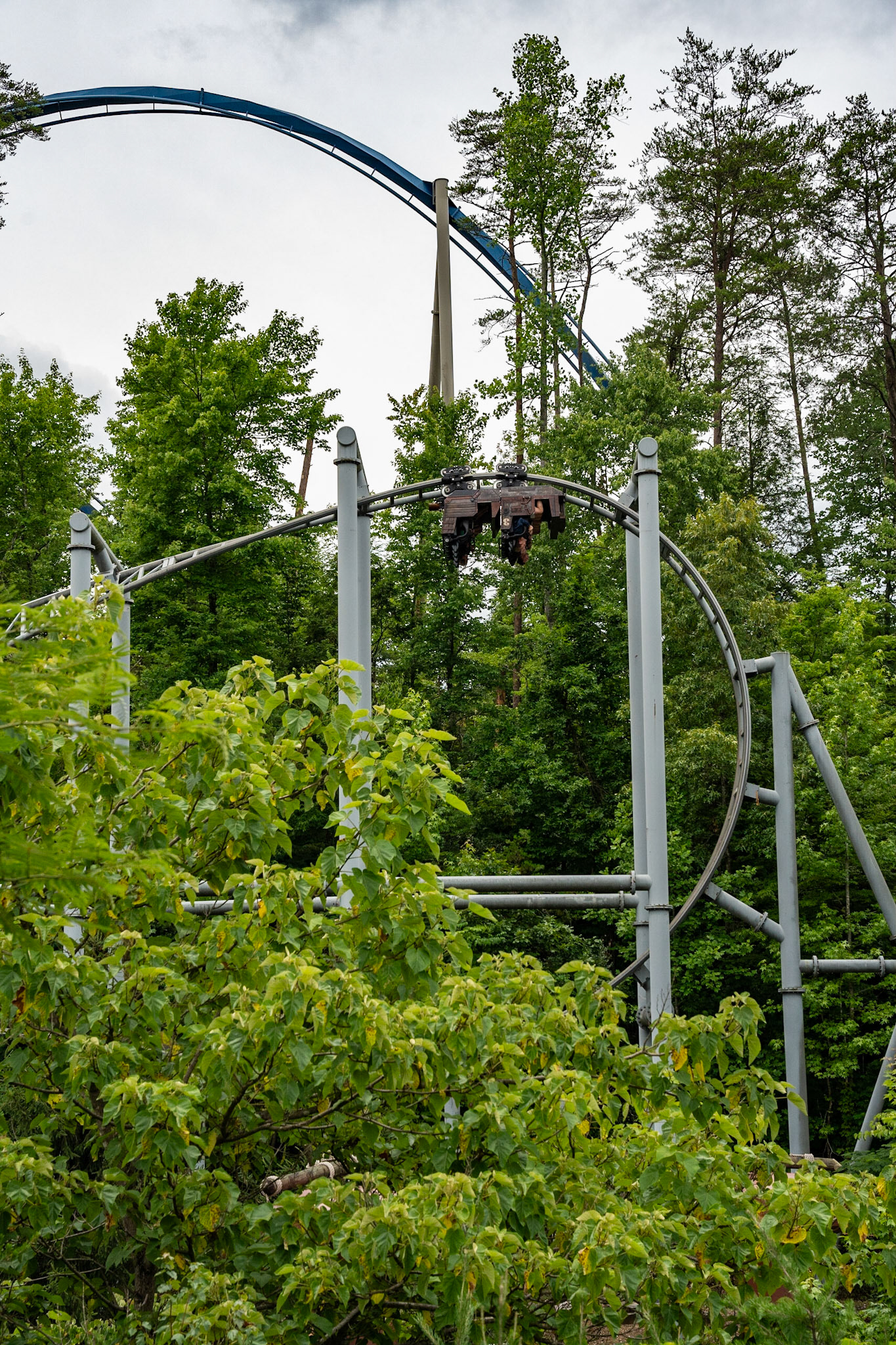 Photo by Jon Roost (www.jonroostphotos.com)