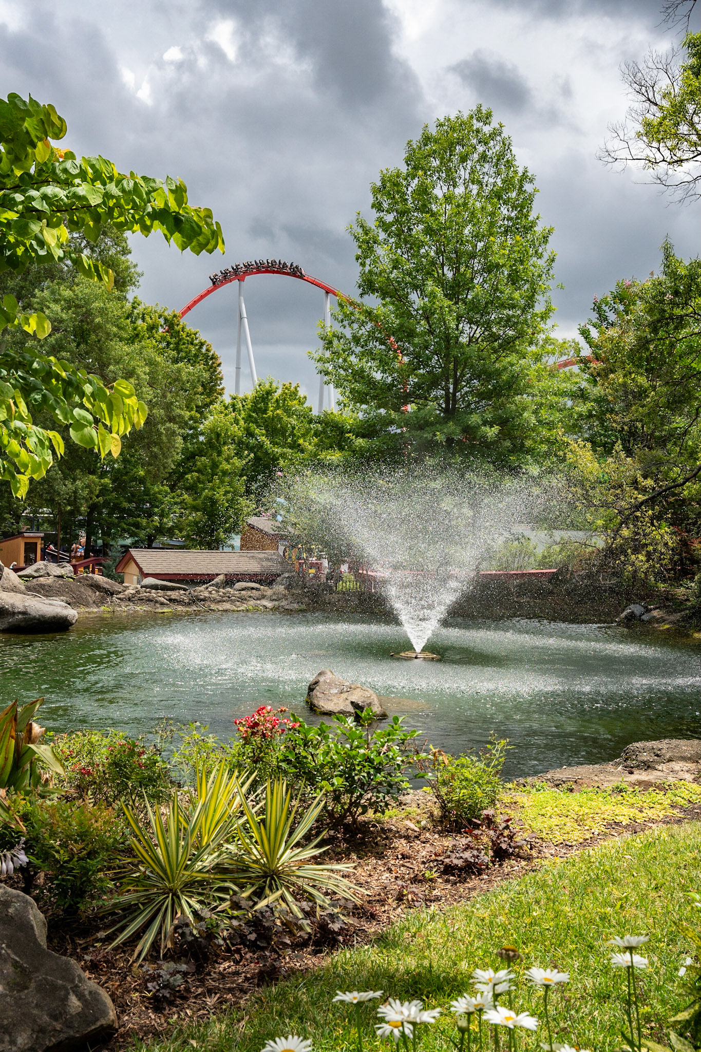 Photo by Jon Roost (www.jonroostphotos.com)