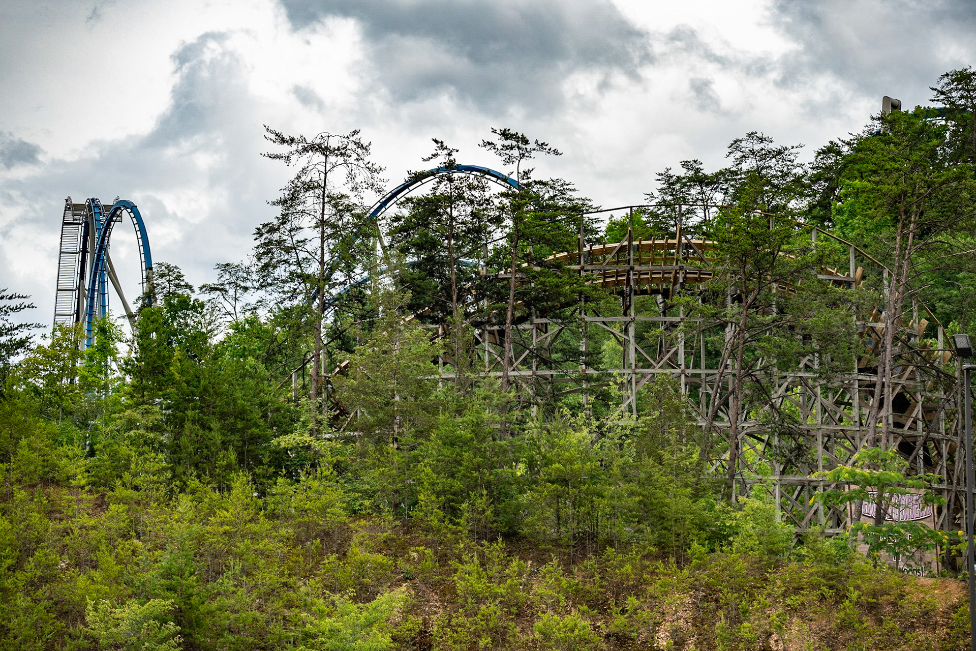 Photo by Jon Roost (www.jonroostphotos.com)