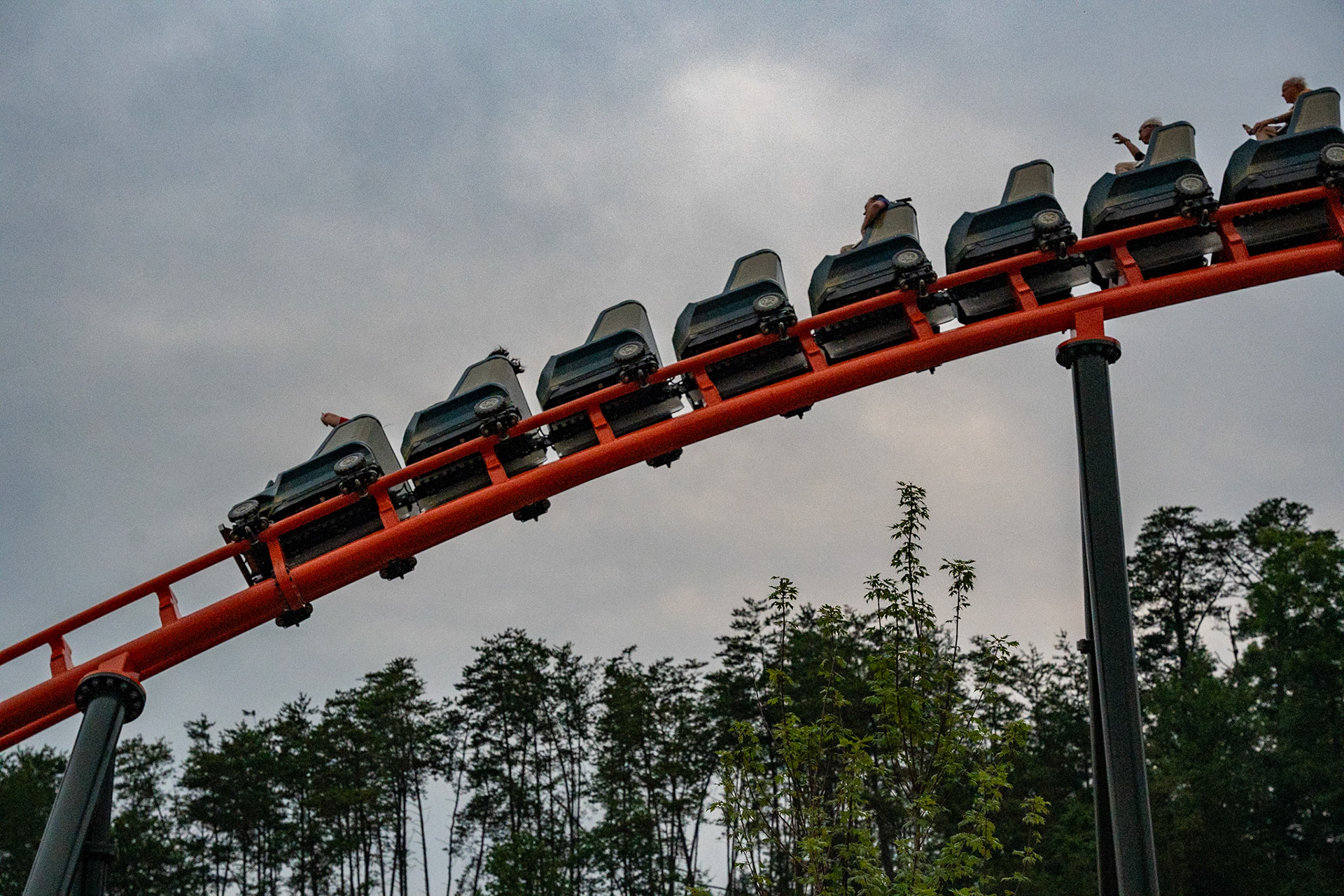 Photo by Jon Roost (www.jonroostphotos.com)