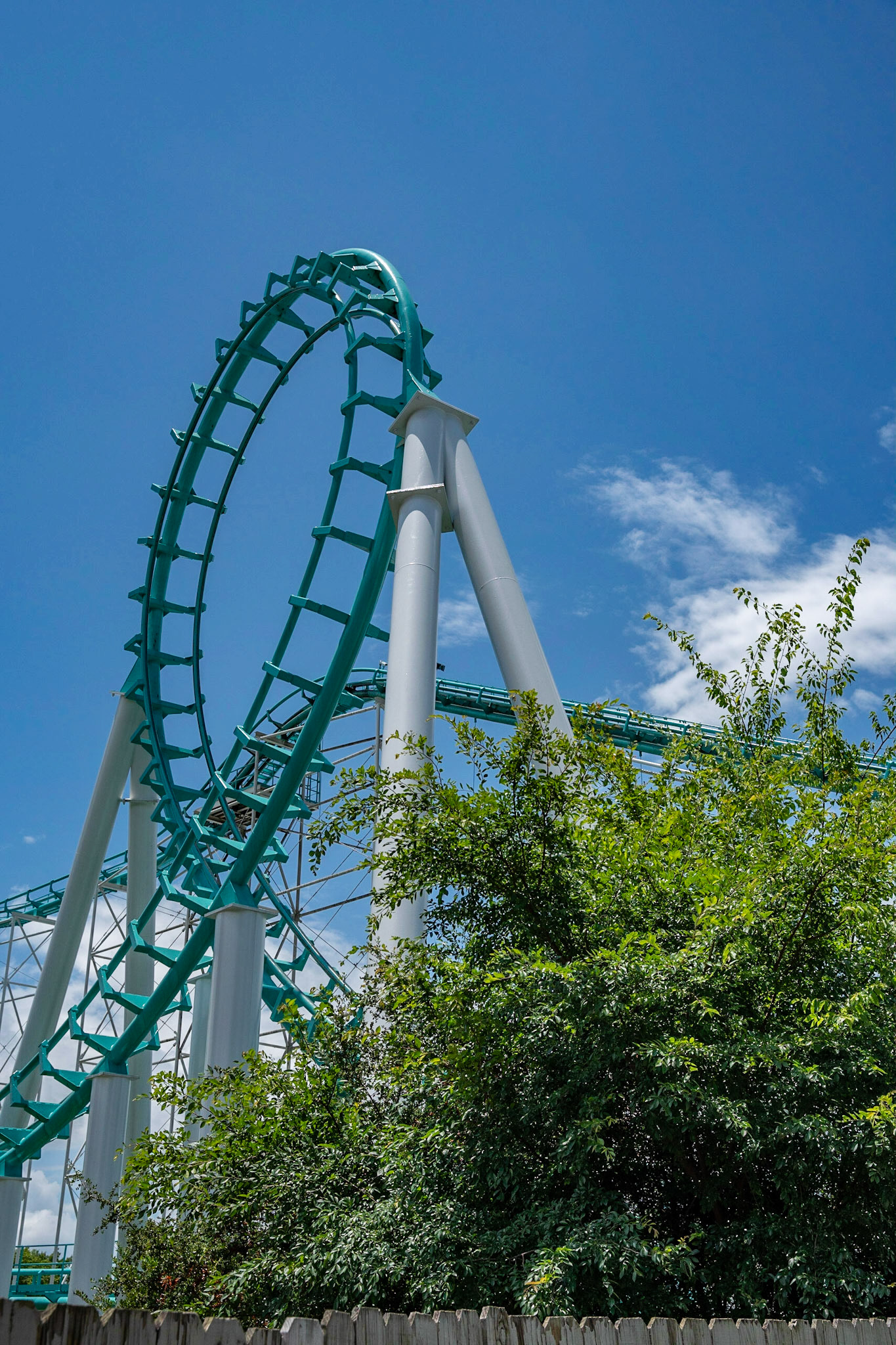 Photo by Jon Roost (www.jonroostphotos.com)