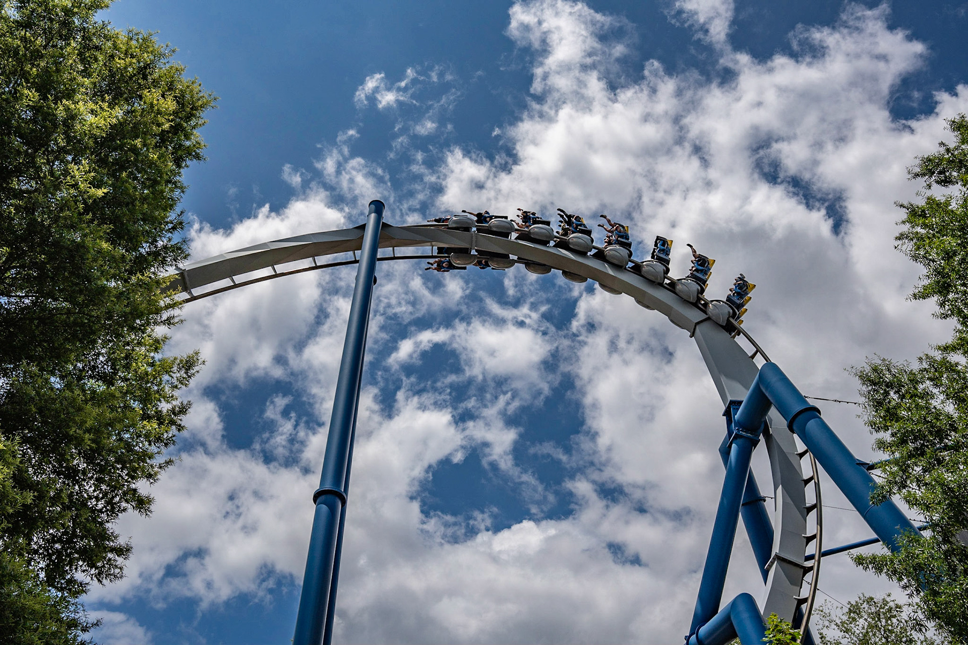 Photo by Jon Roost (www.jonroostphotos.com)